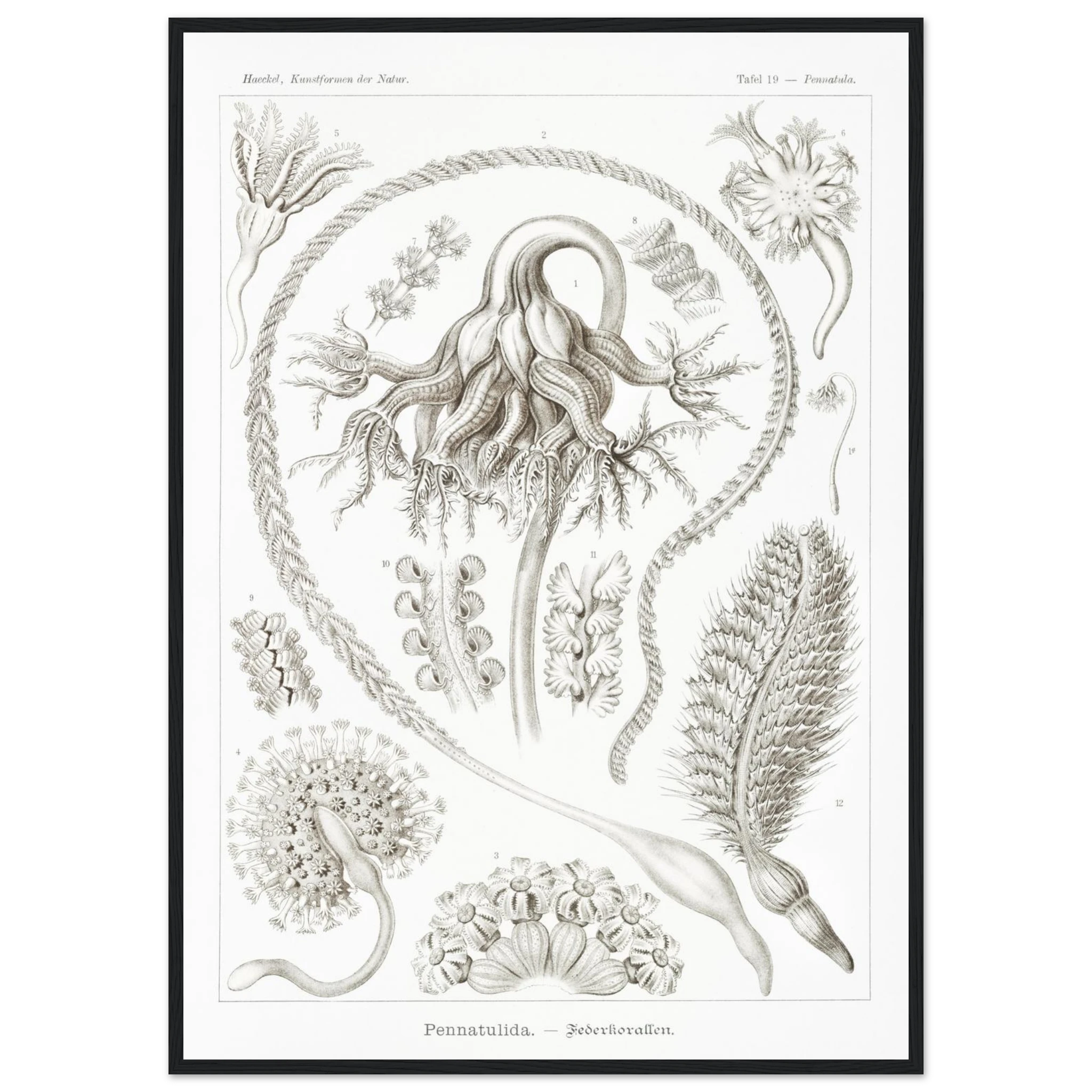 a7feadb3-c4fc-4b37-be75-d44847d4627e