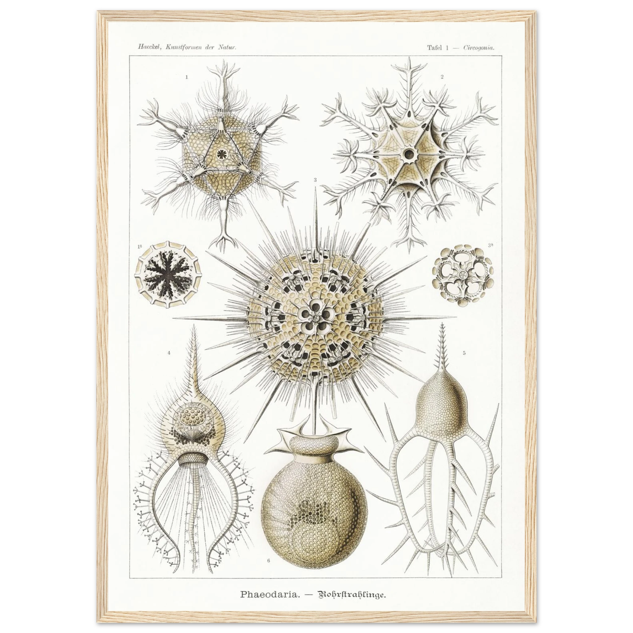 a82e5a2f-08f8-49ee-9ccf-4c0acce899e8