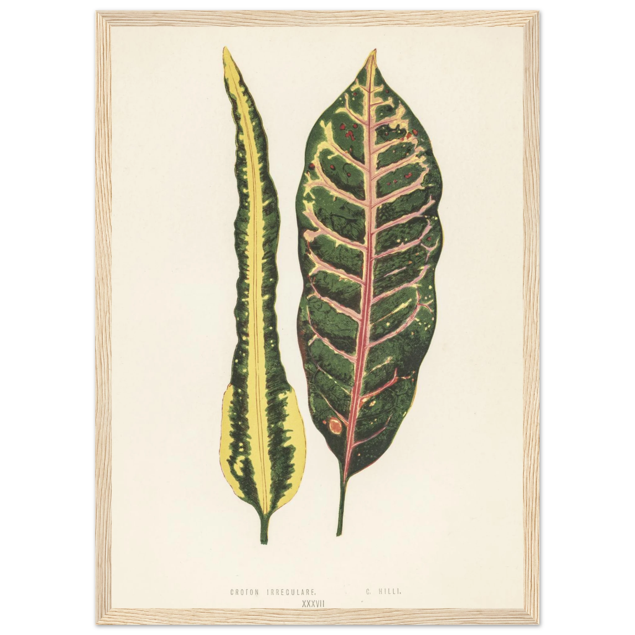 a83e2c12-5d7b-48e8-ba27-e0afe5decf7b