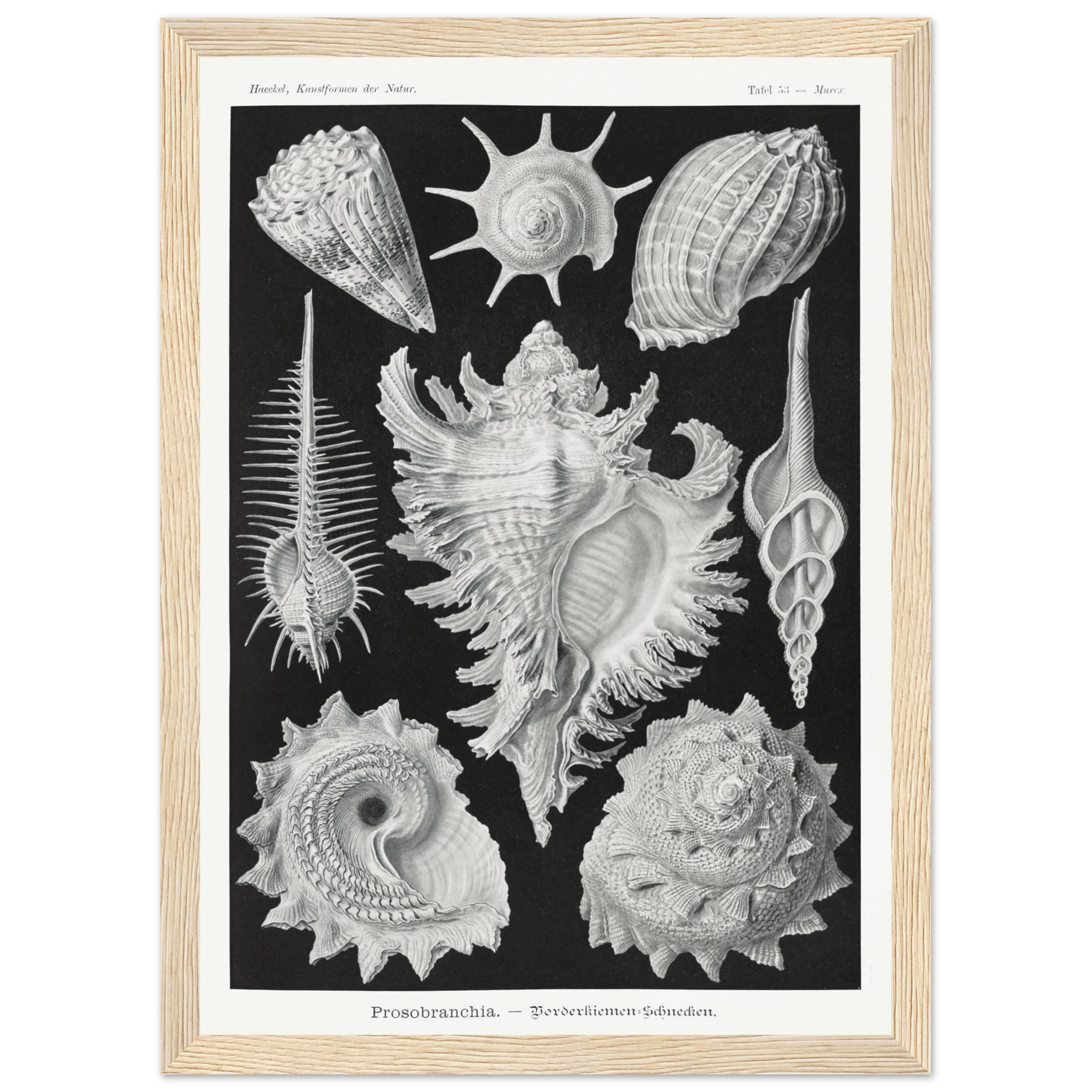 a8671ece-657f-4d18-a965-2a792c981bca