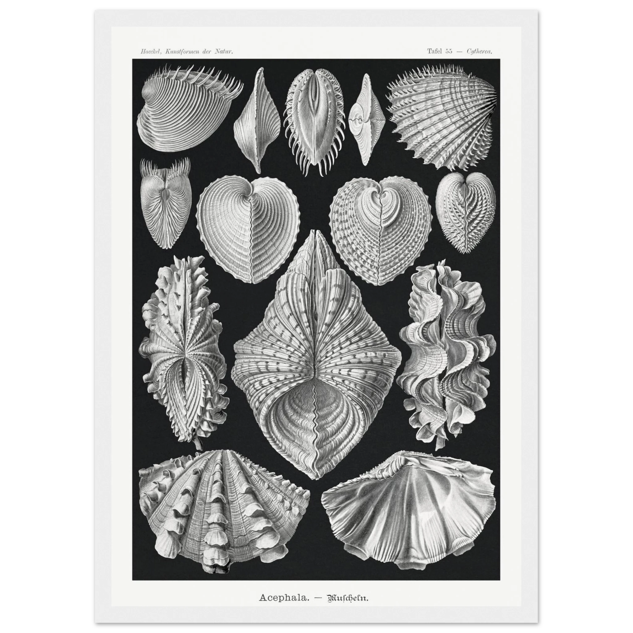 a86a988d-379d-4eda-be88-4eb8210bc1ed