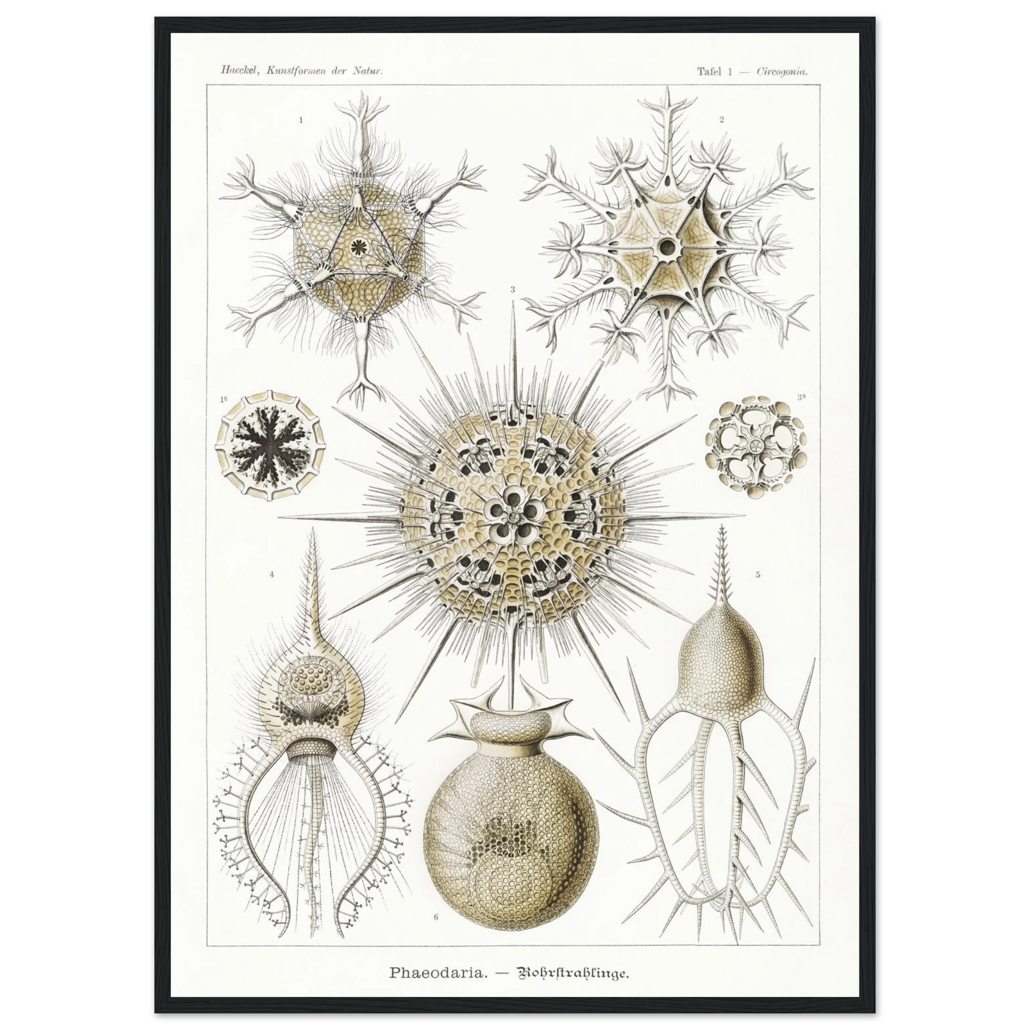 a86bc104-4605-4b08-a7bf-6c52bd1f0045