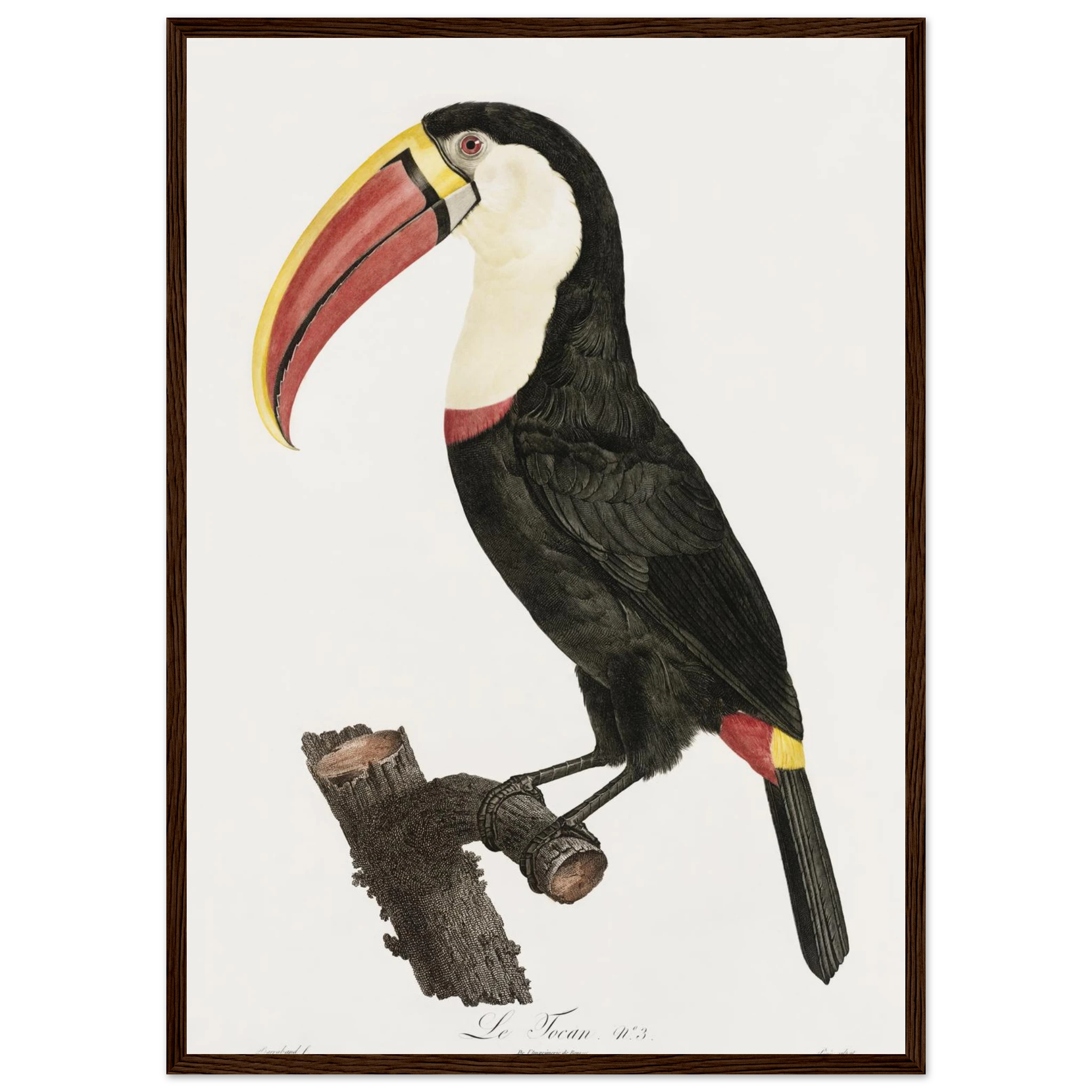 a8952c19-c6d6-4d9f-b49c-5e9b4847a70d