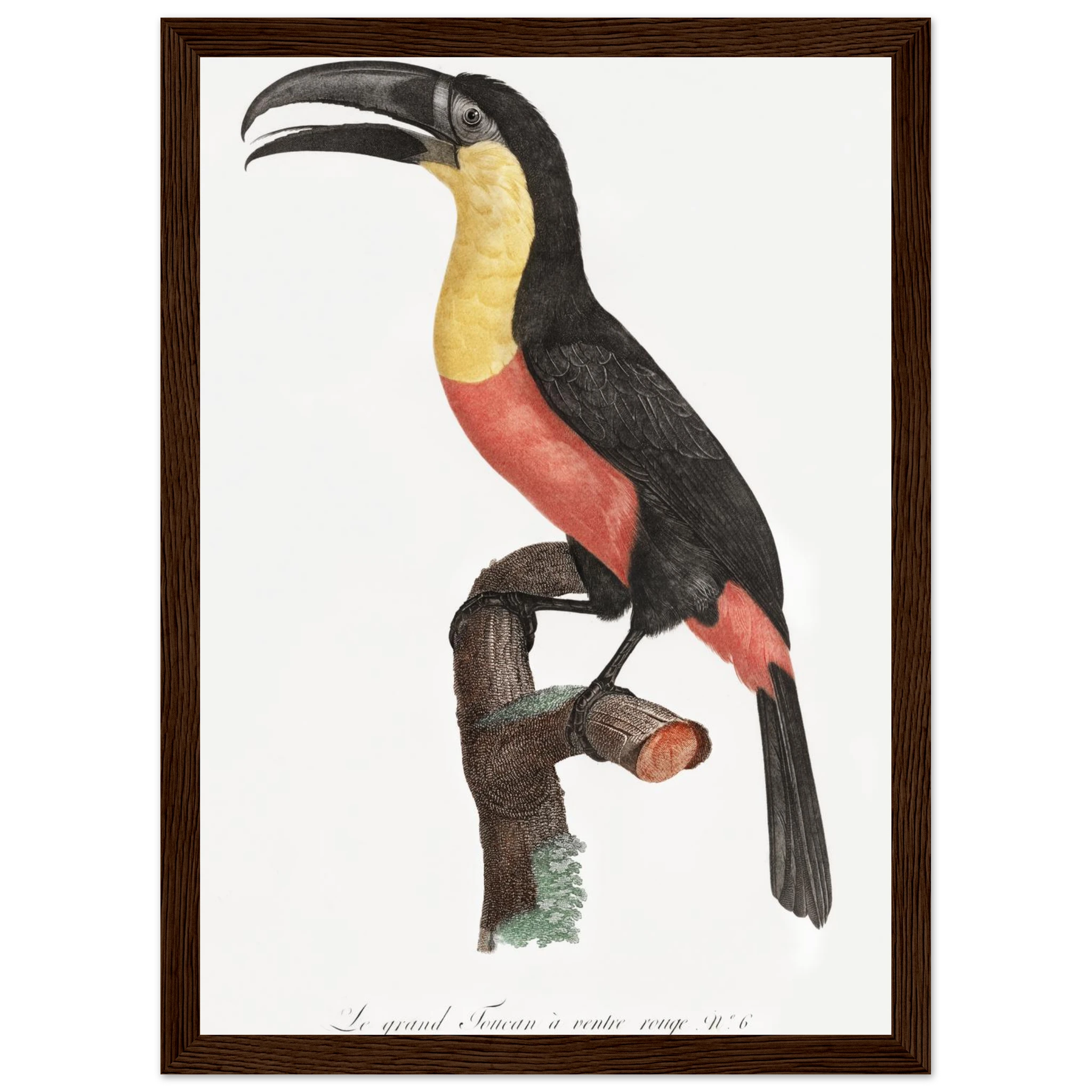 a8a0874f-32e3-4738-903c-e3e517fe6e46