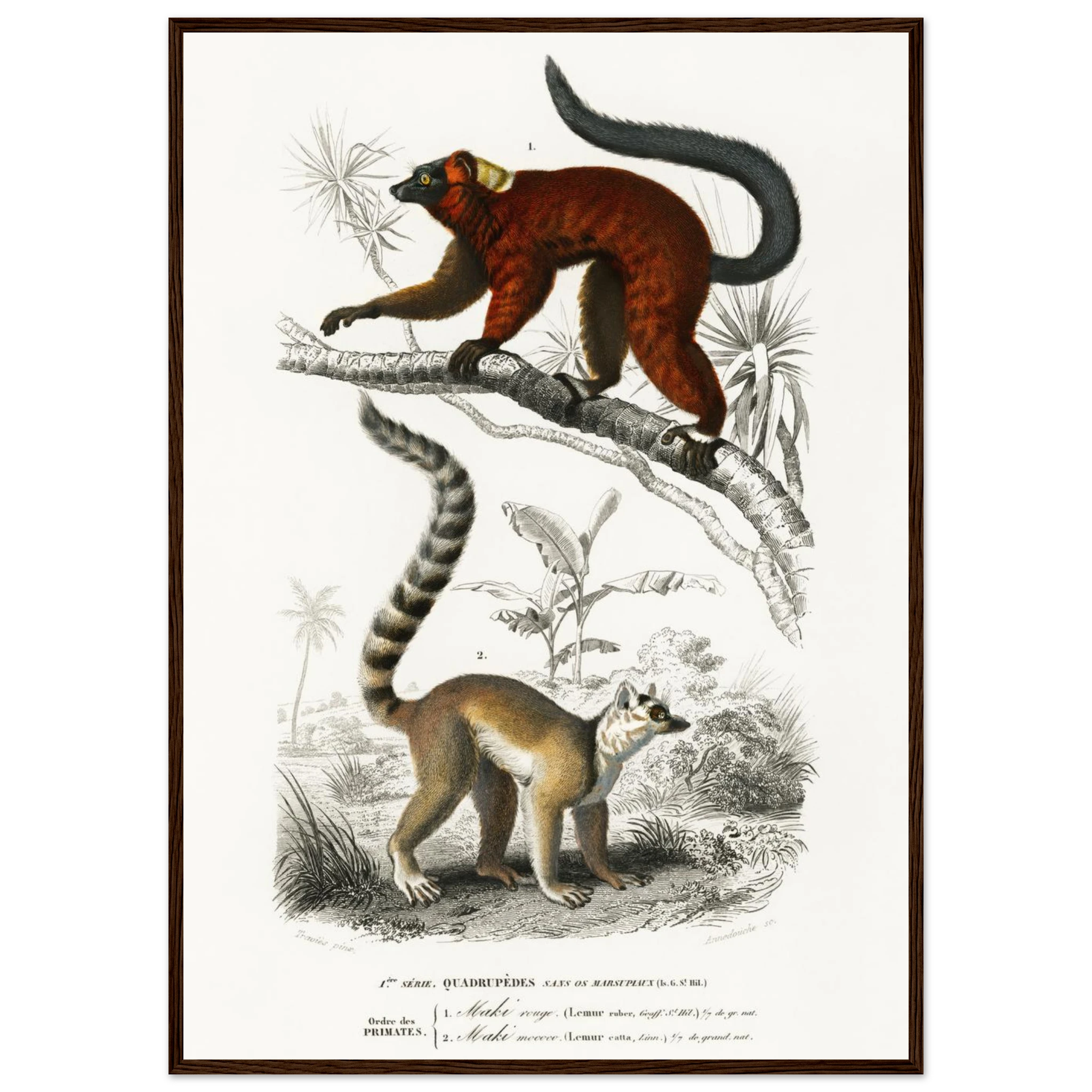 a8c400c7-be02-4271-a90d-08f5f083f1a5