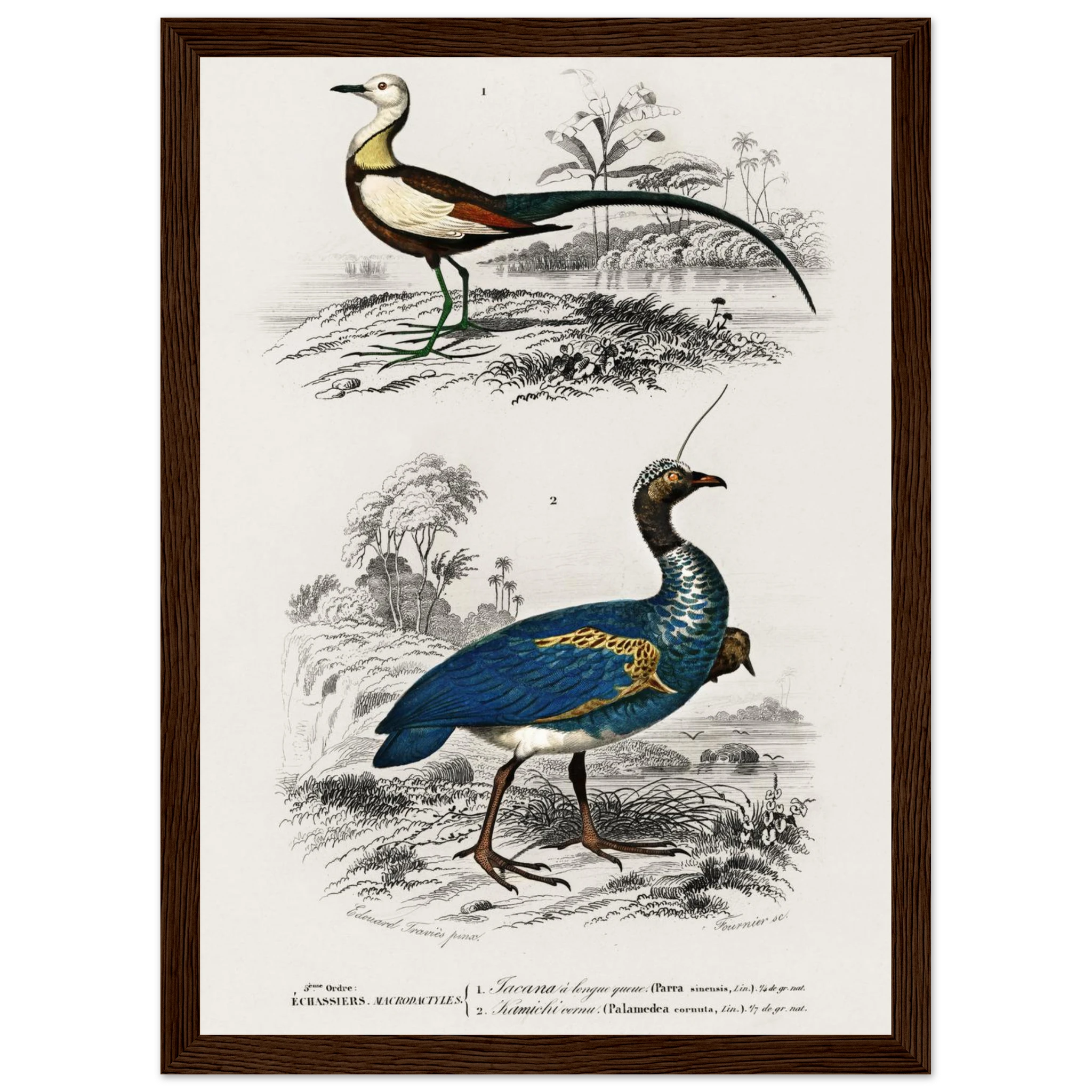 a8c5163c-9cc3-4884-af3d-c681b1150bd0