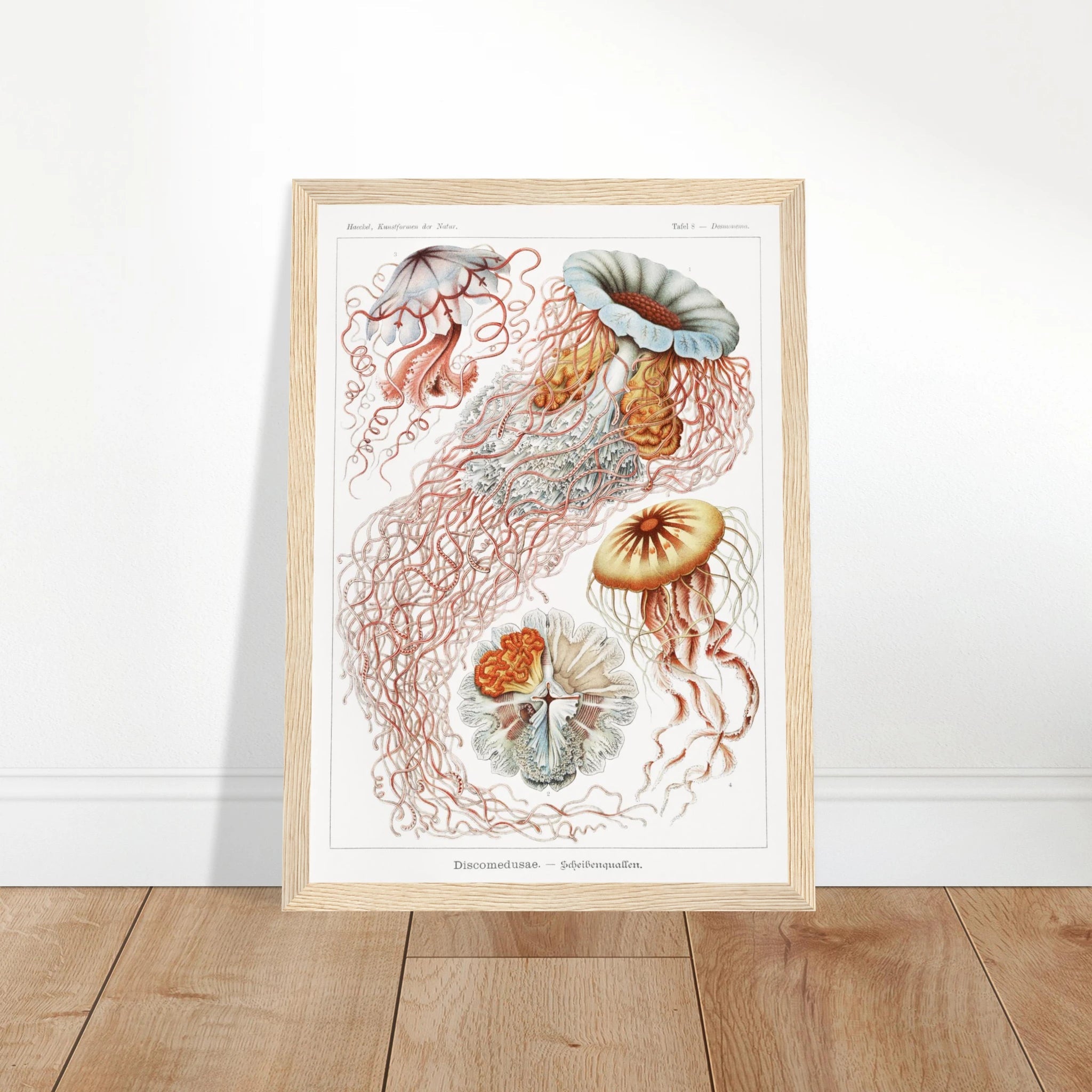 a8ce5b2f-3c40-46a3-8893-a9862934da96