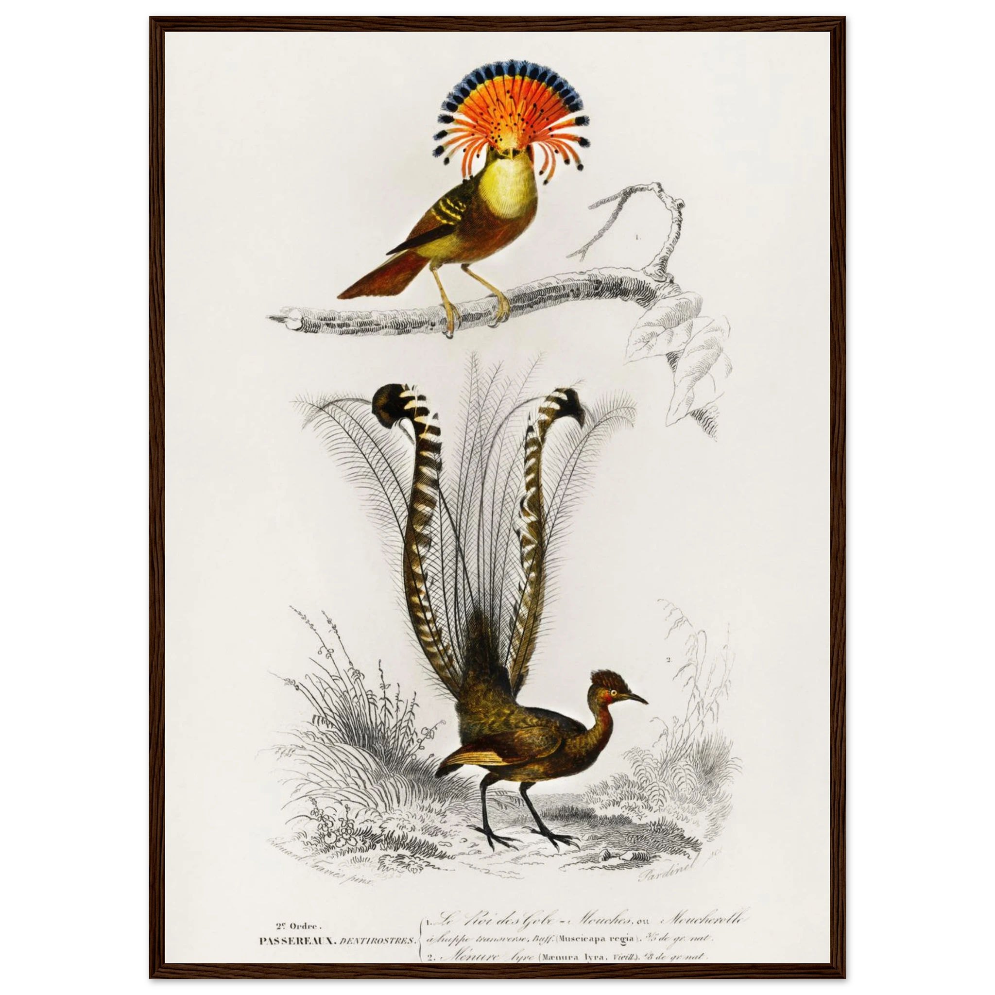 a9500b36-7e9a-41a0-be6d-8e6bfff06034