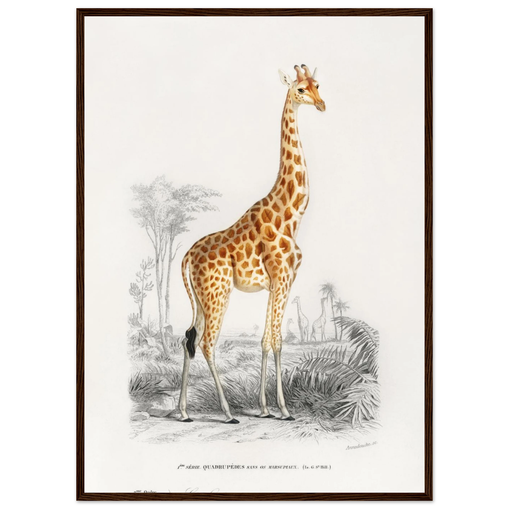 a9552235-a7c3-4a53-bf06-5c86c4797206