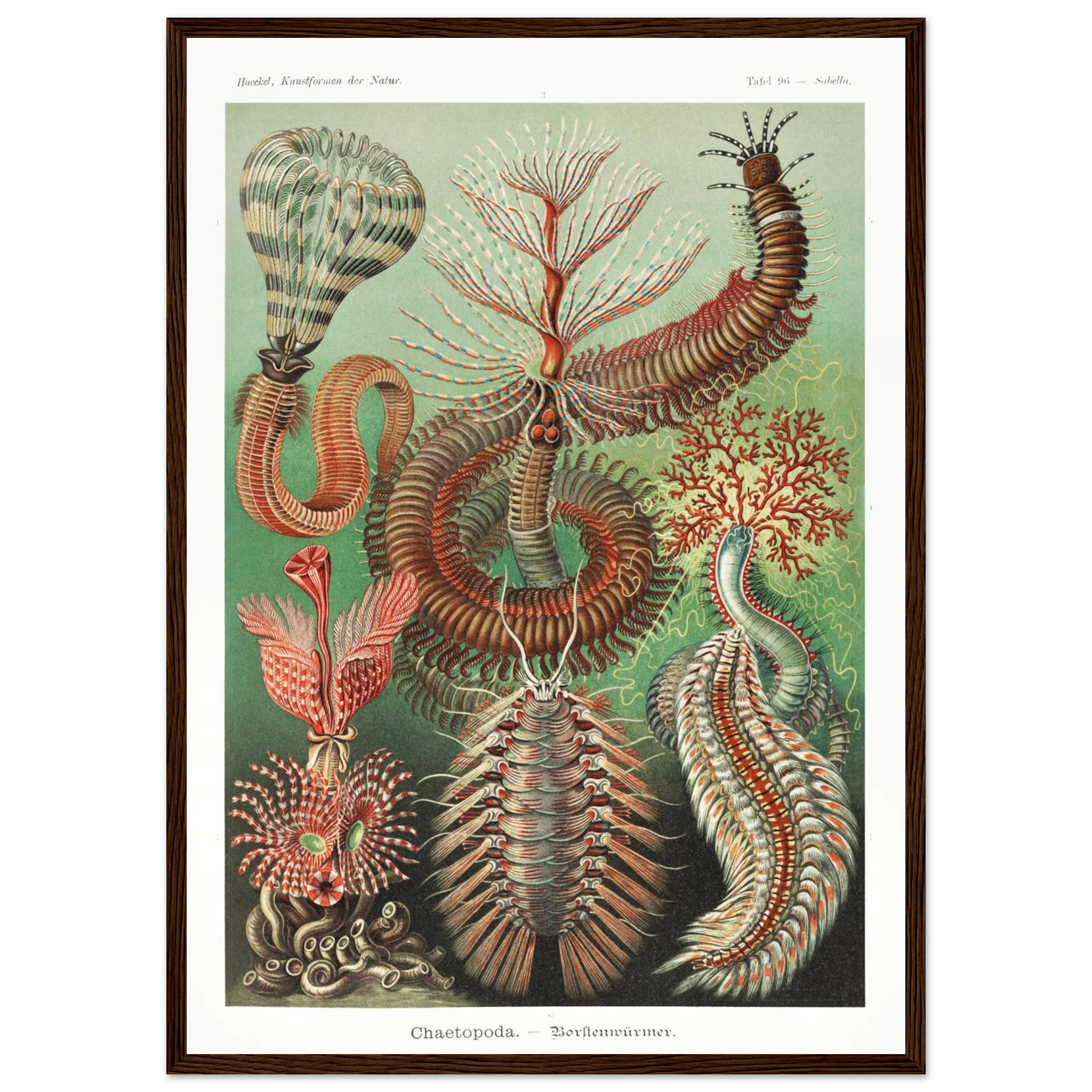 a955e830-d461-49d7-a7dc-74cc5709e90e