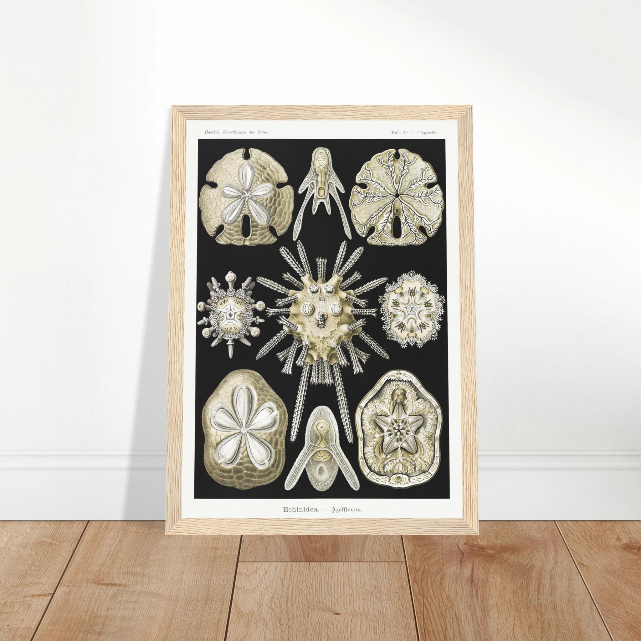 a96f948a-37d8-496a-984b-5bd016708de4