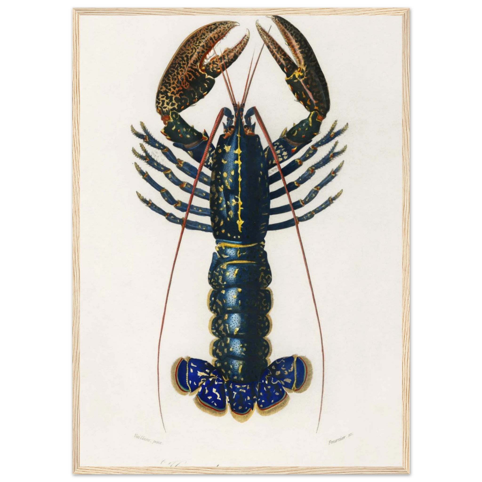 a9eceb07-3da9-4960-89d8-8f06be6c1afb