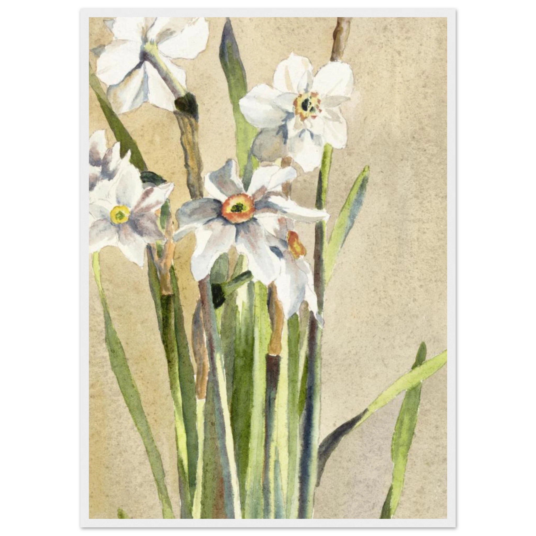 a9ffd0f1-3fd5-405d-af31-6e63565fa0c8