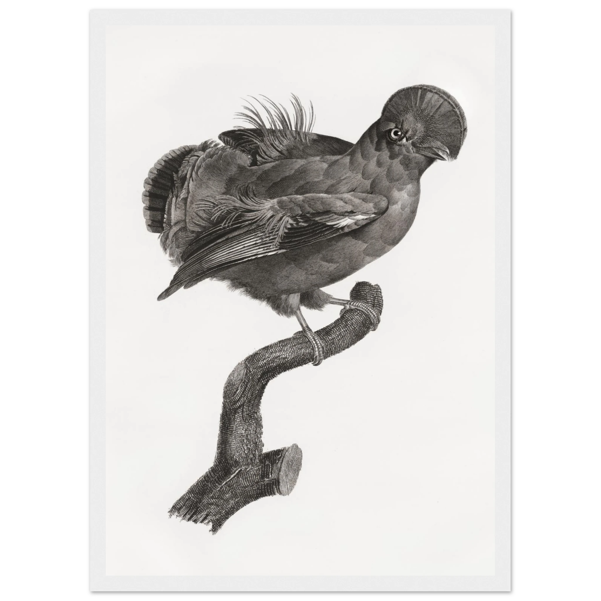 aa501814-76a0-41e8-84b9-02f593c72dbf