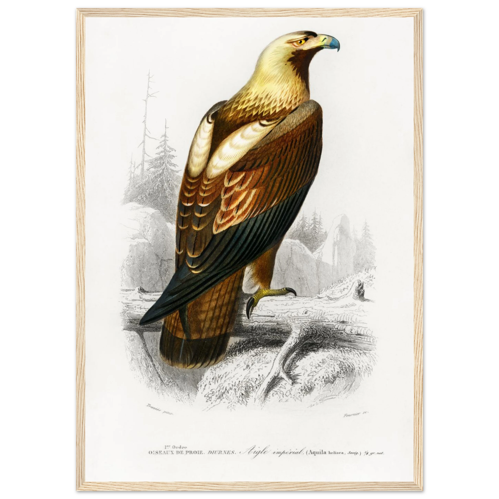 aa5b4050-d294-4f81-a032-a708ec125cc5