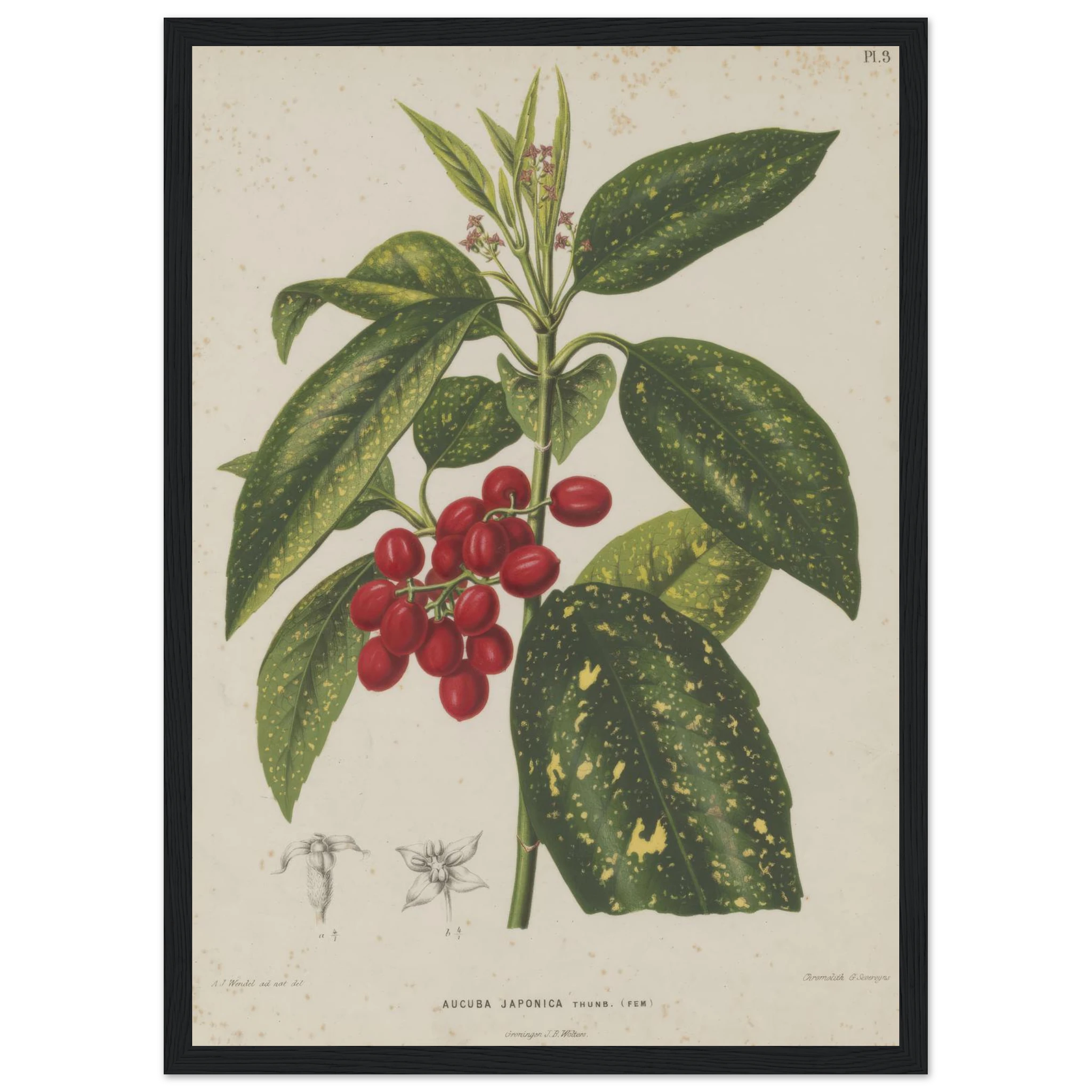 aa6d77fd-9d2d-46b2-8259-e29e1c21e181