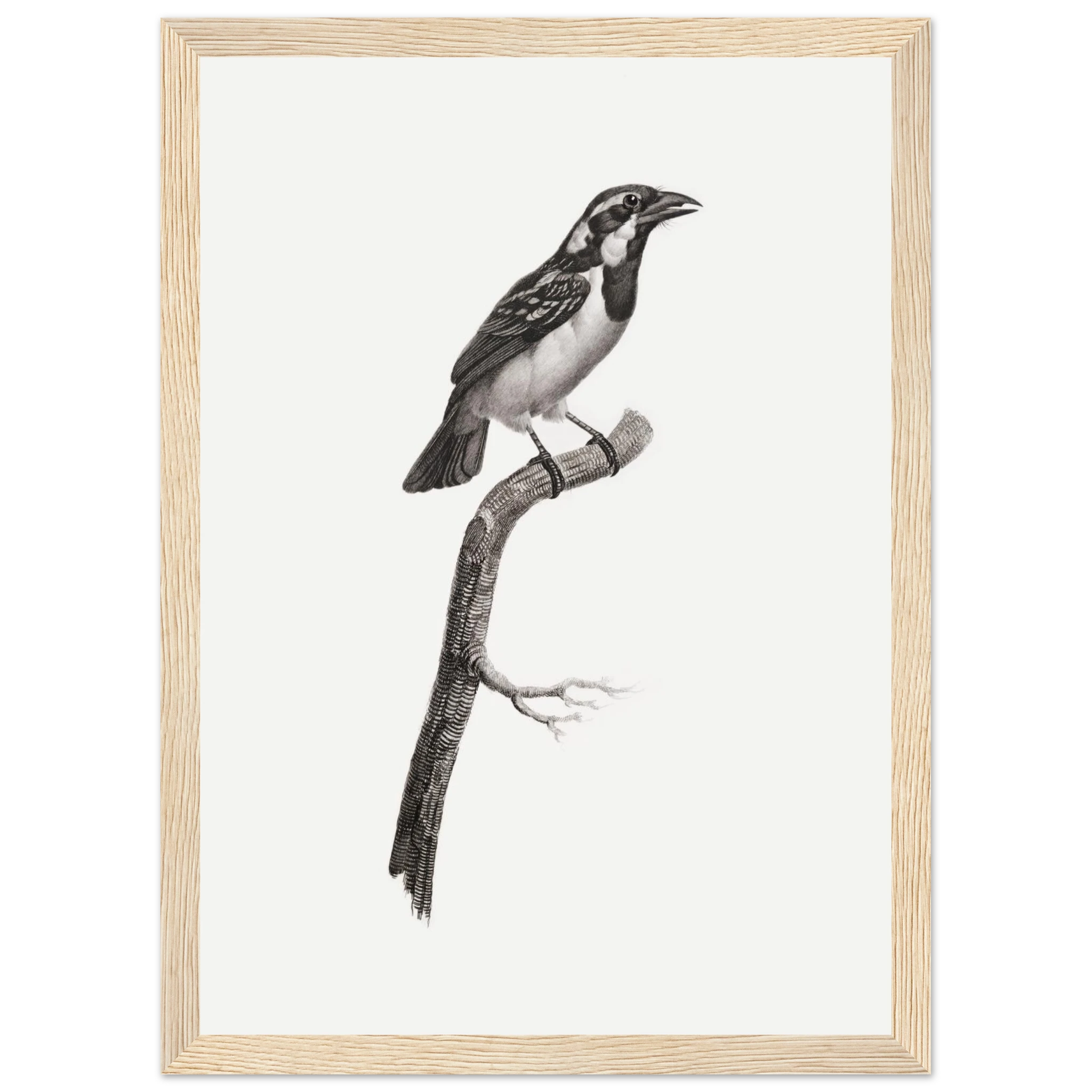 aa749390-a4c1-41da-9ef5-6412f4474df6