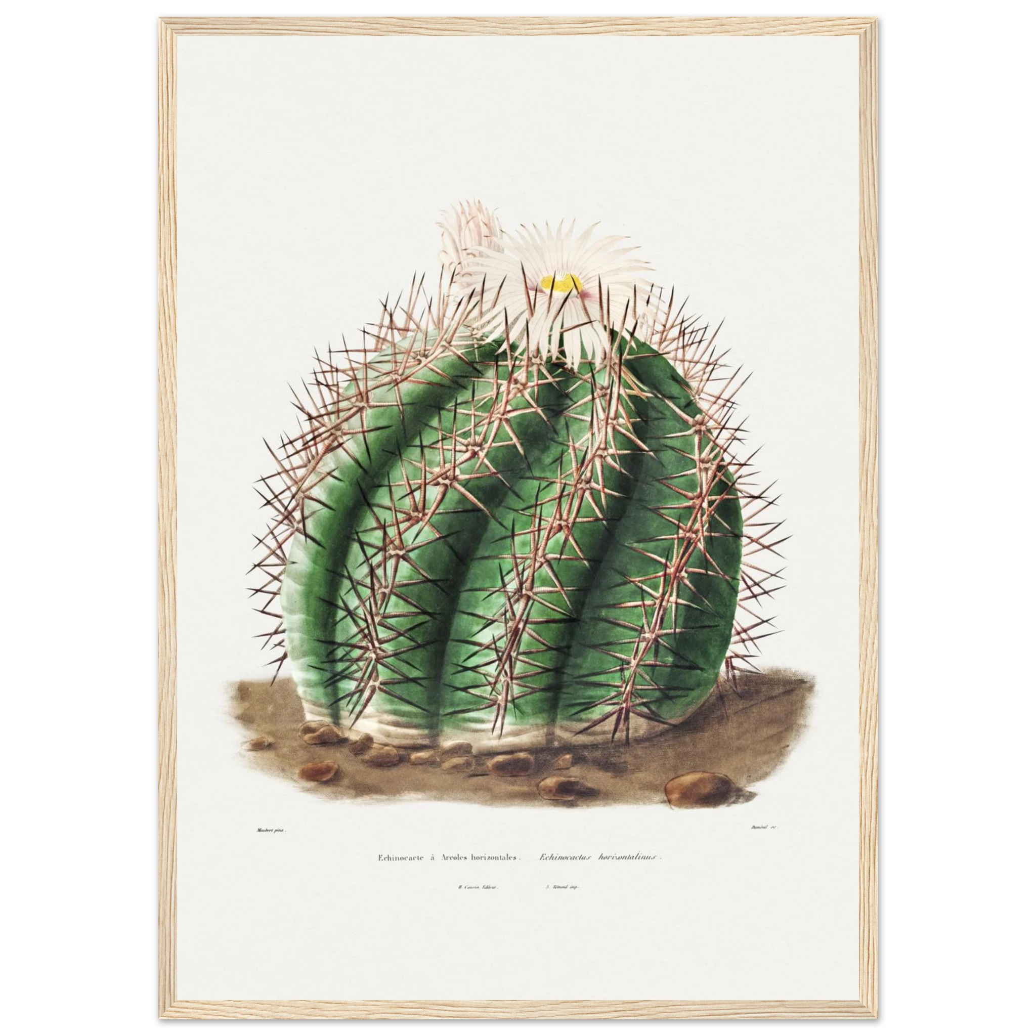 aa7bd69f-e652-4870-8d48-e3d3031aea6c