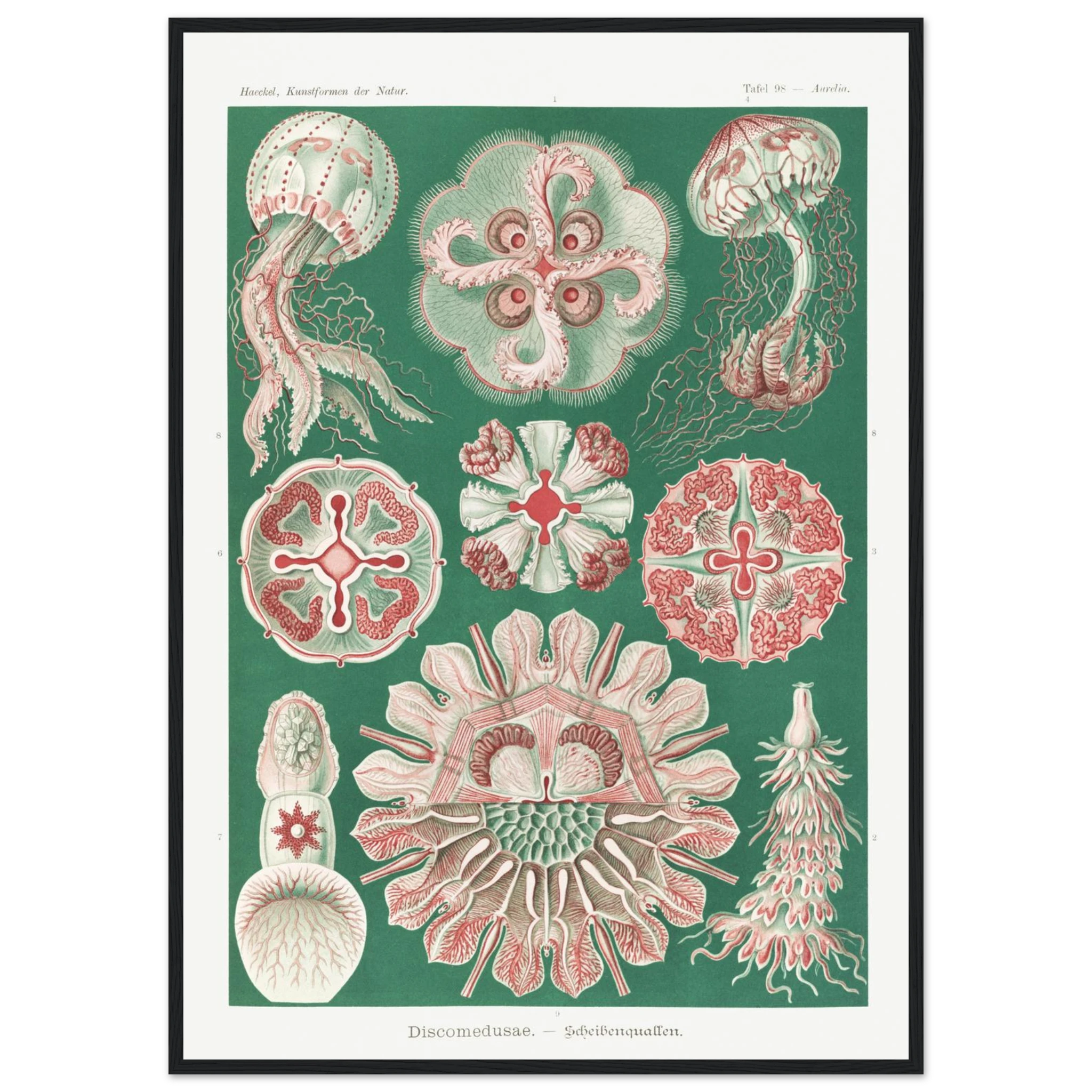 aa85f7de-2d0f-4c43-b15b-821eb82eb588