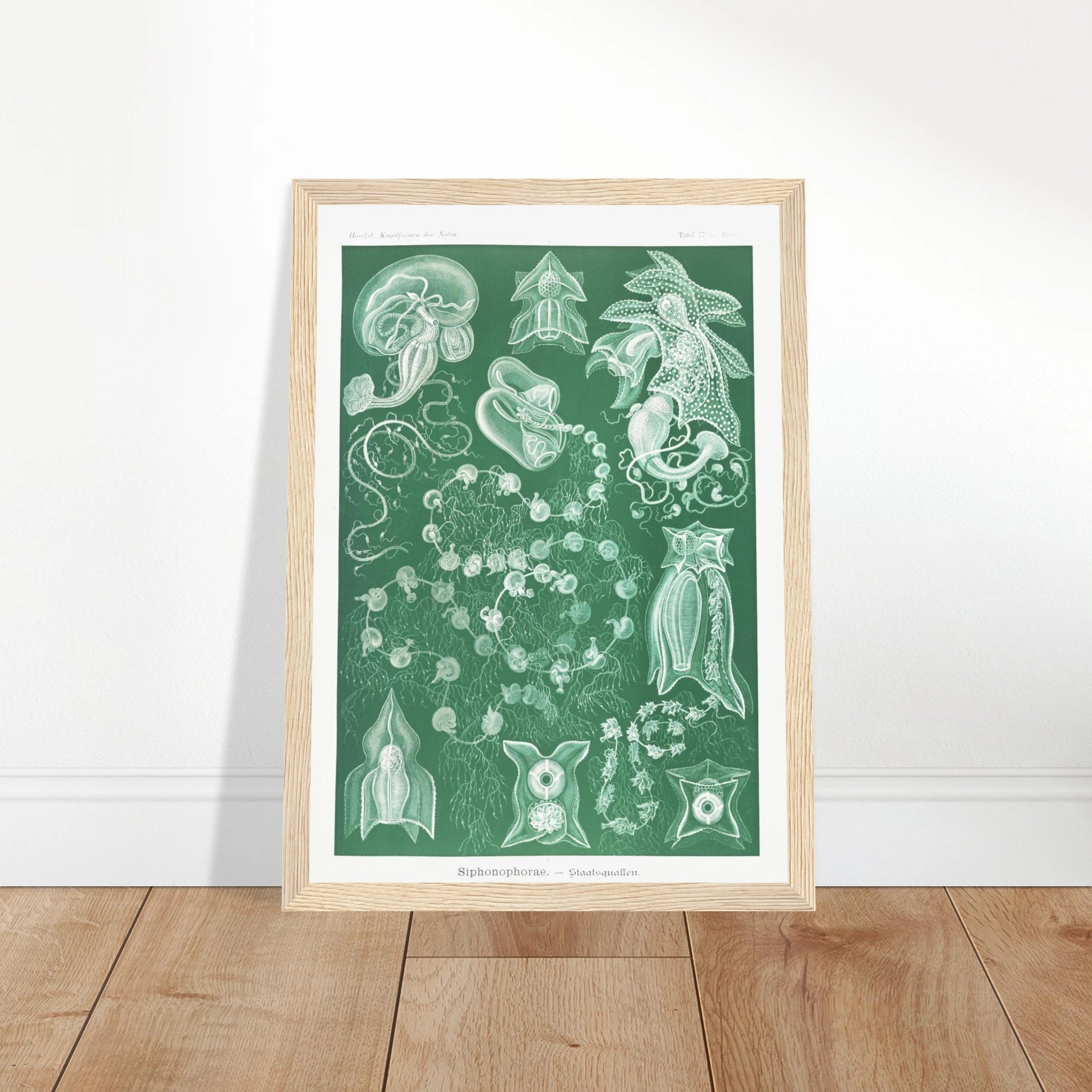 aadce59b-fe51-46a8-8d4d-4b65c2d93b9c