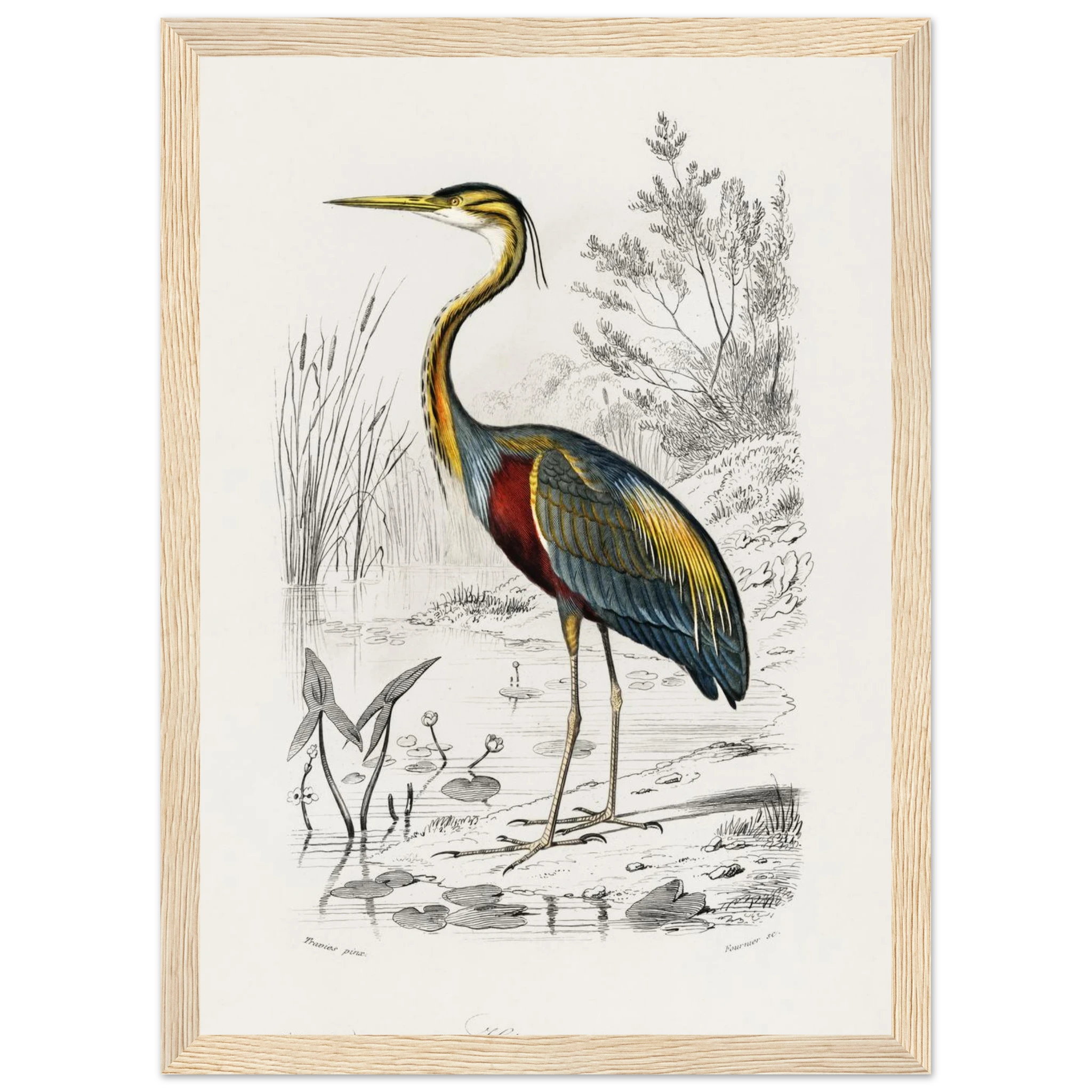 ab11d88a-f72e-4c63-b5e8-aefc2b9a04a4