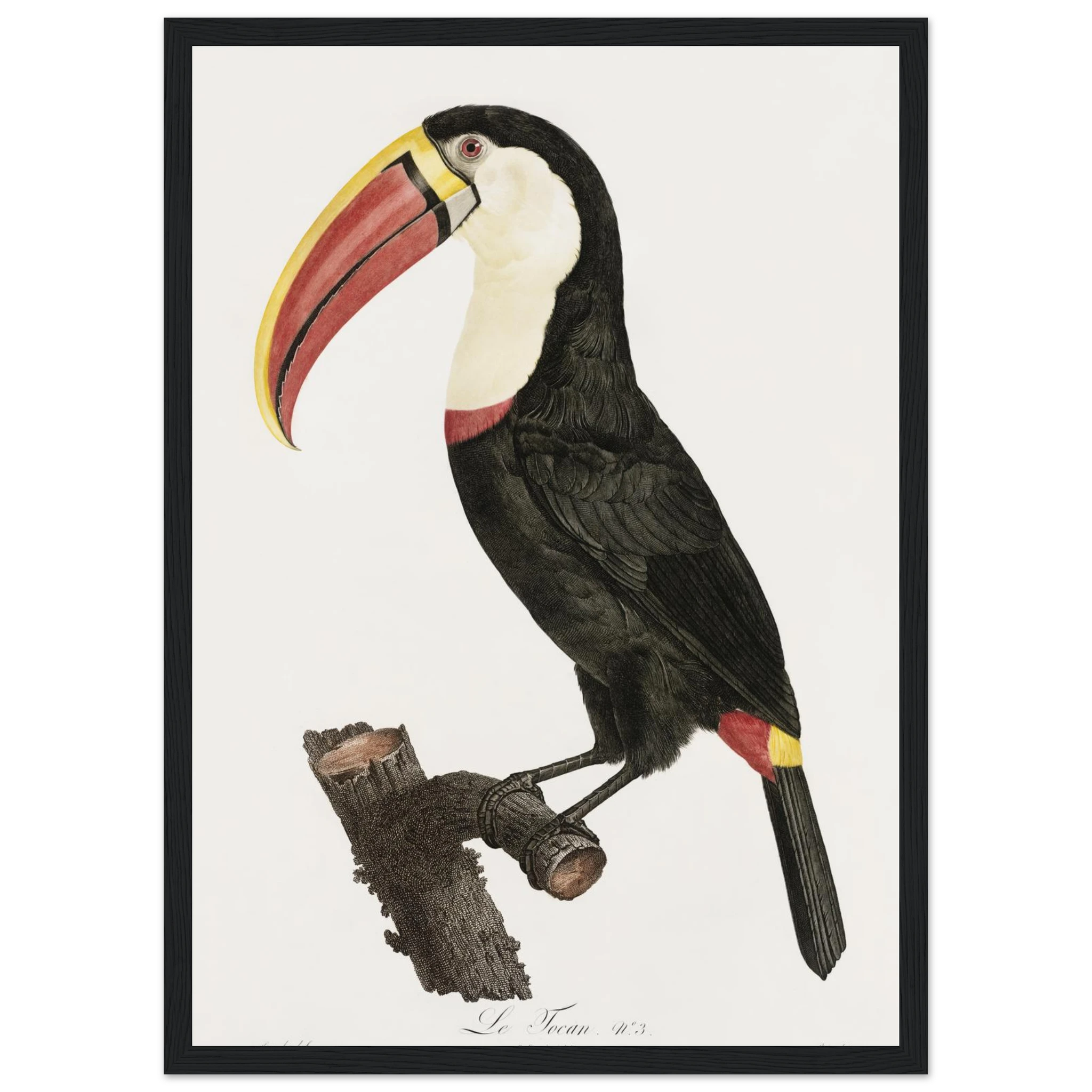 ab7c136d-246a-493a-ba1e-b5efb2d14858