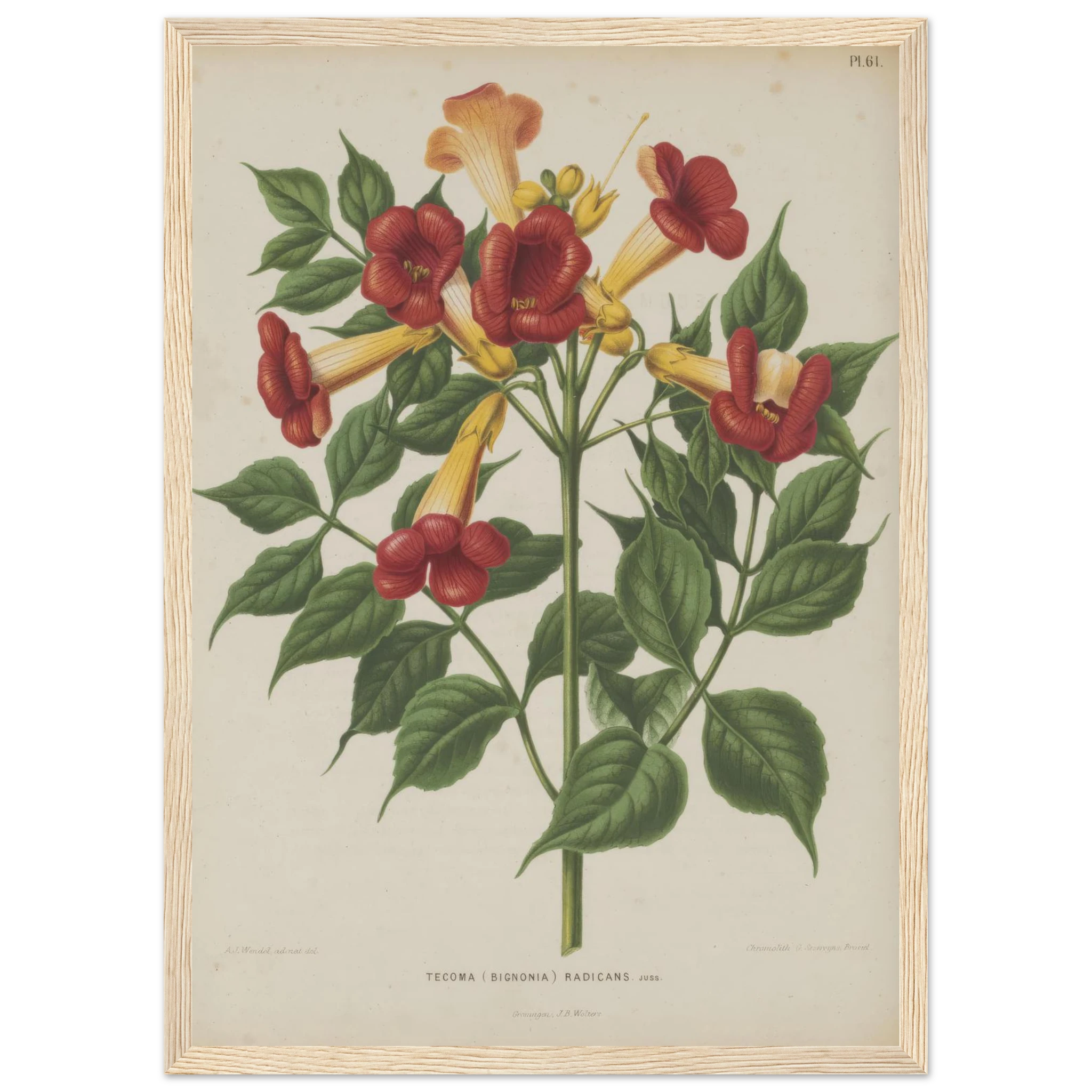 ab8693bf-9433-4727-b294-a64b4b7dc703