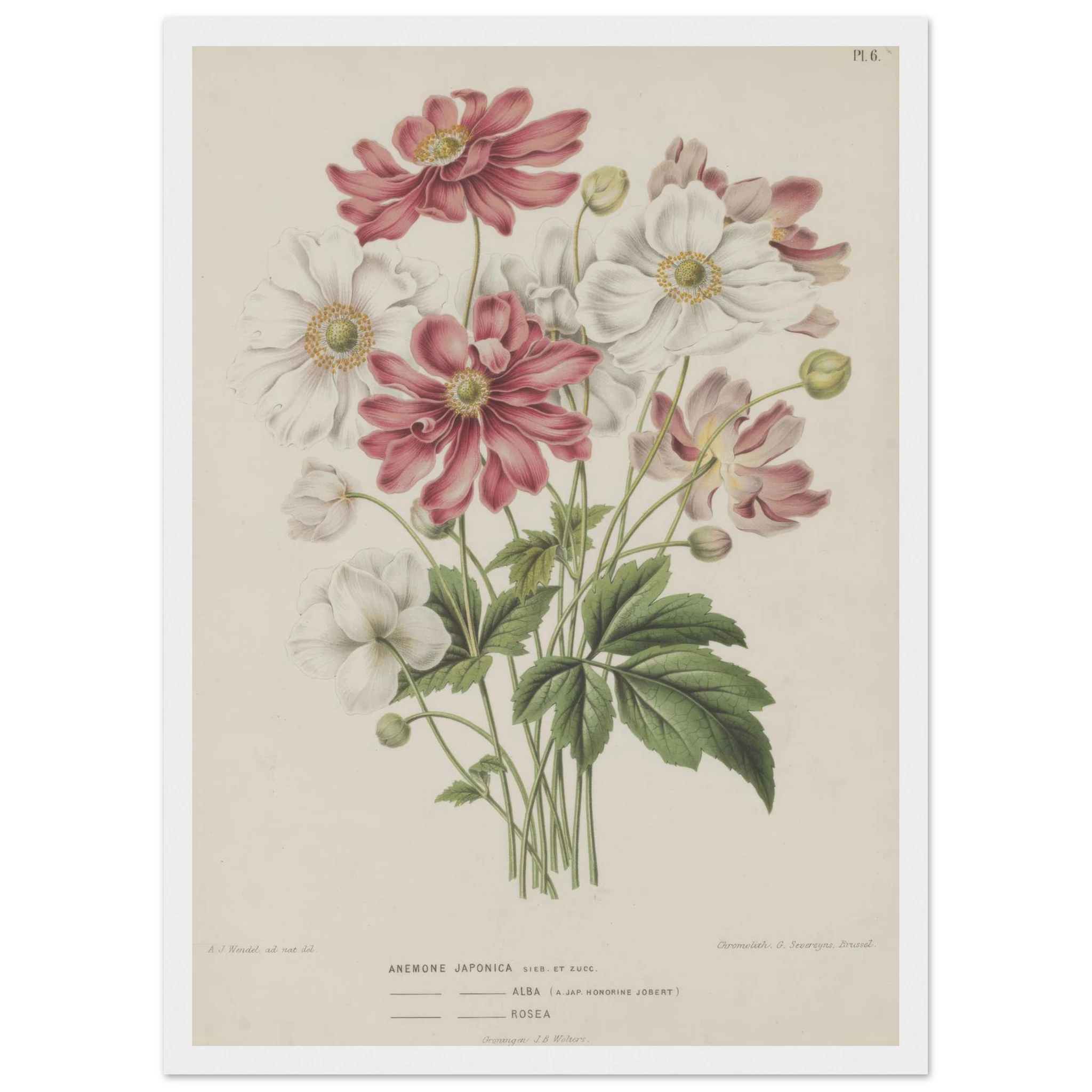 abc8c894-fb1b-4103-aec5-42688f79aae4