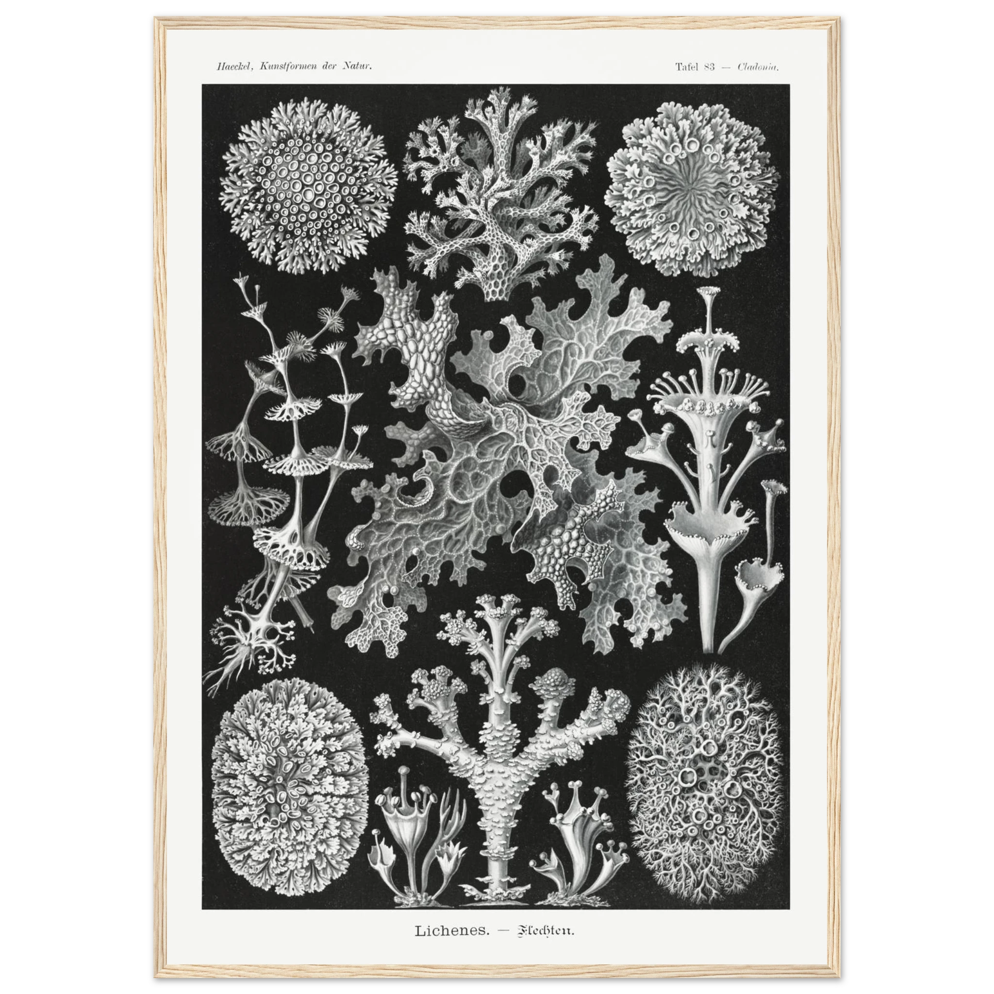 ac050c5c-1188-45b0-b5c2-703213677ca8