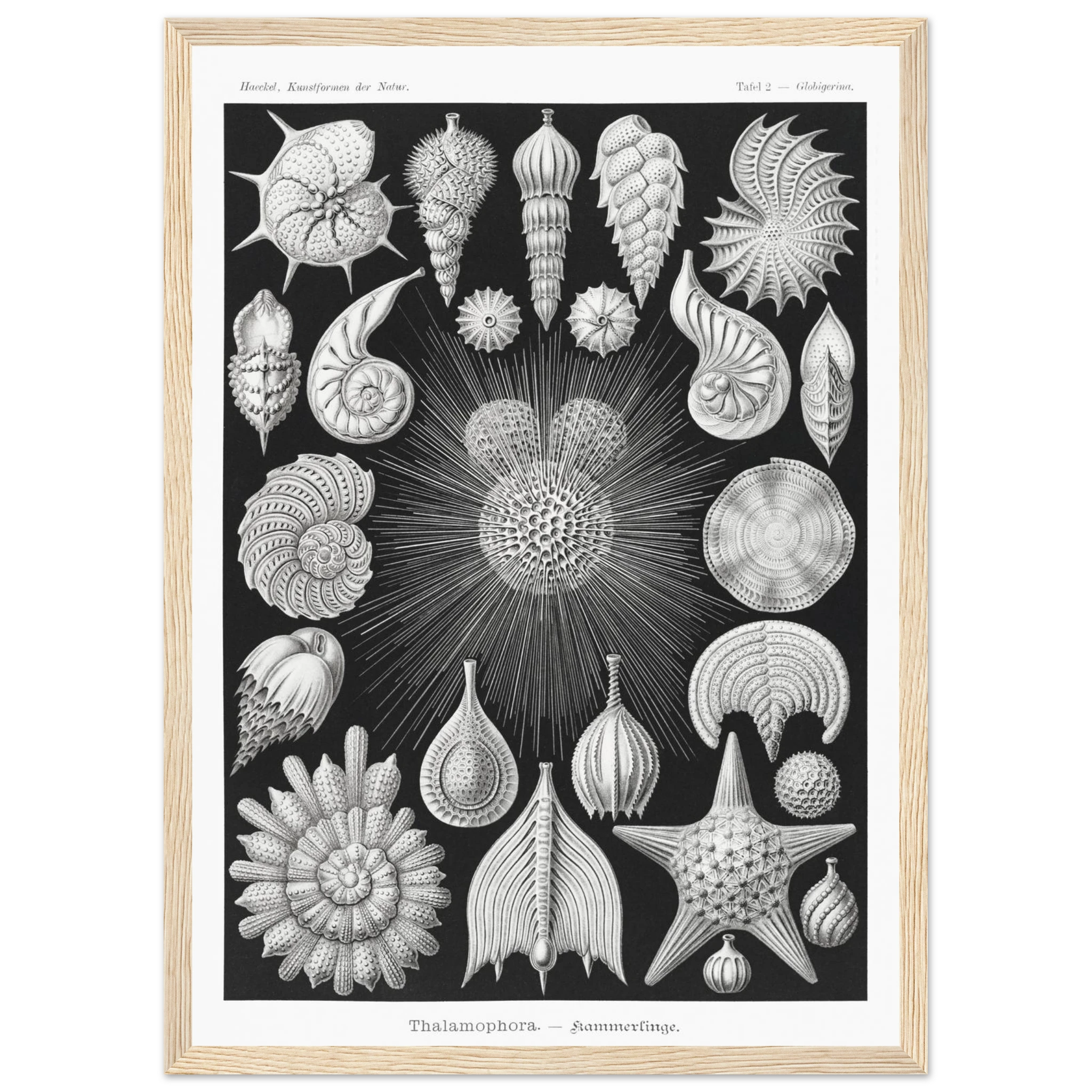 ac0daa49-ccb5-492c-a2bb-c639354caf41