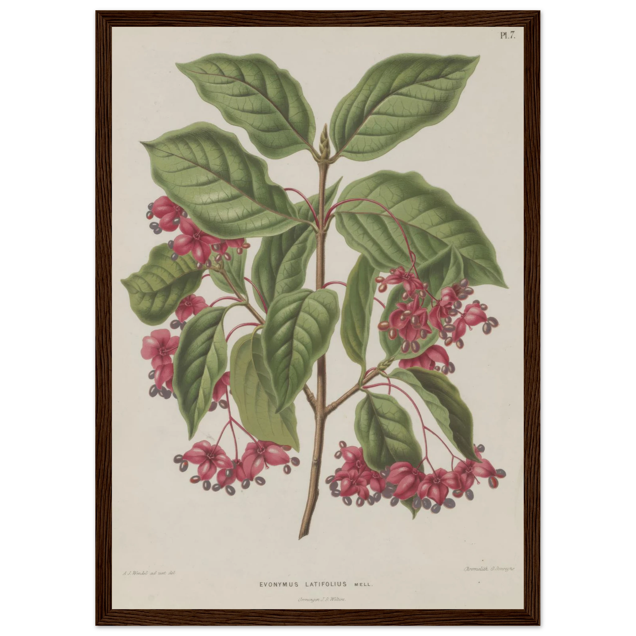 ac0f19c1-66f7-4431-a1b4-5263fba2c0ed