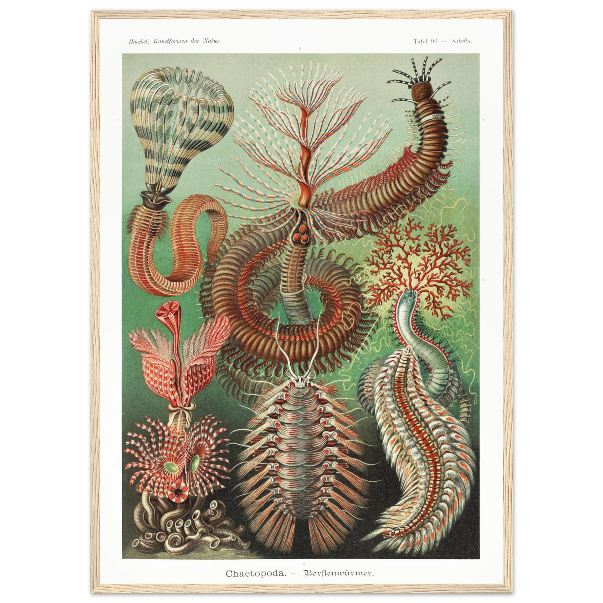 ac3c888f-41e4-49e9-9a44-656f219952cc