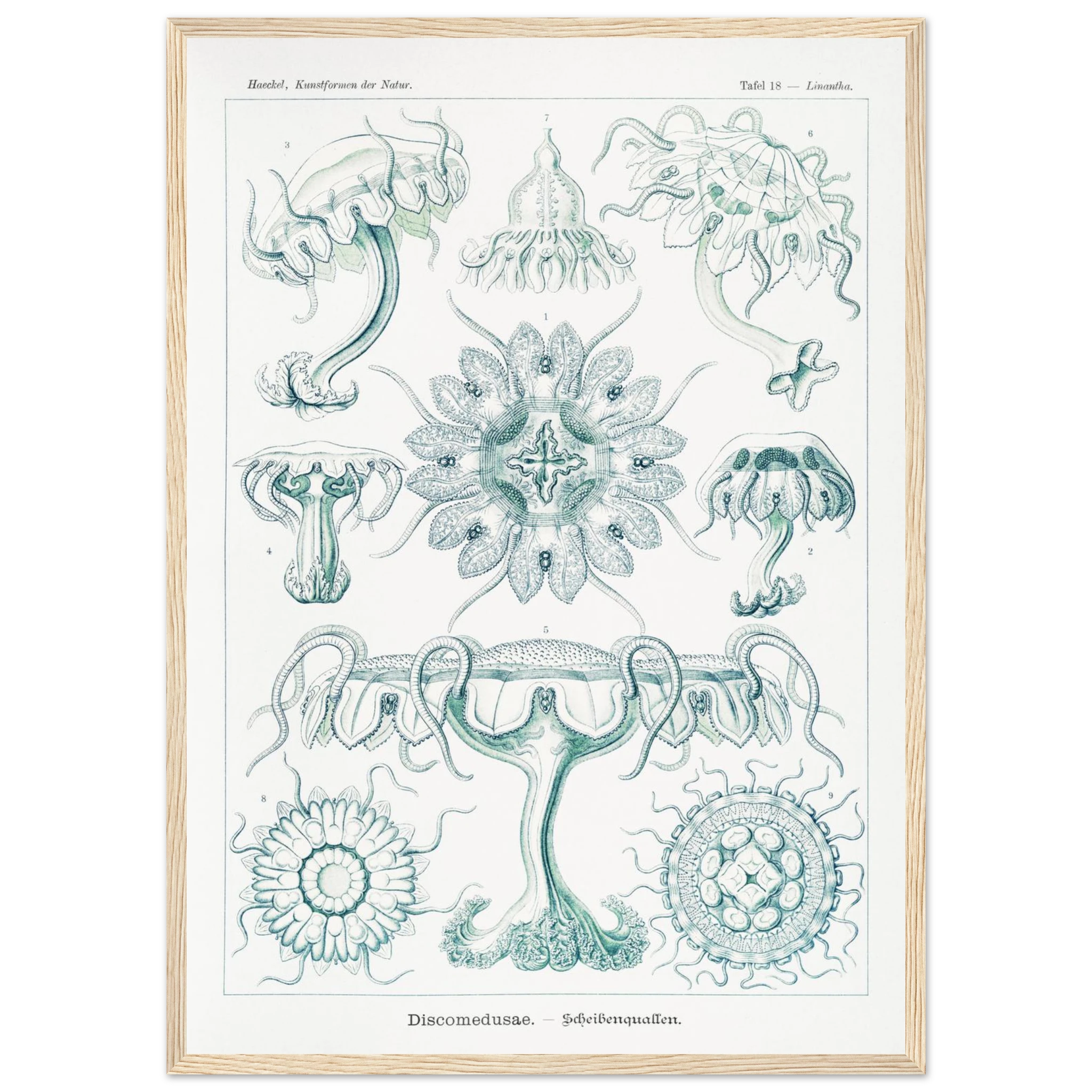 ac49f5da-1ca3-49ce-a0ca-1c90c1b4848a