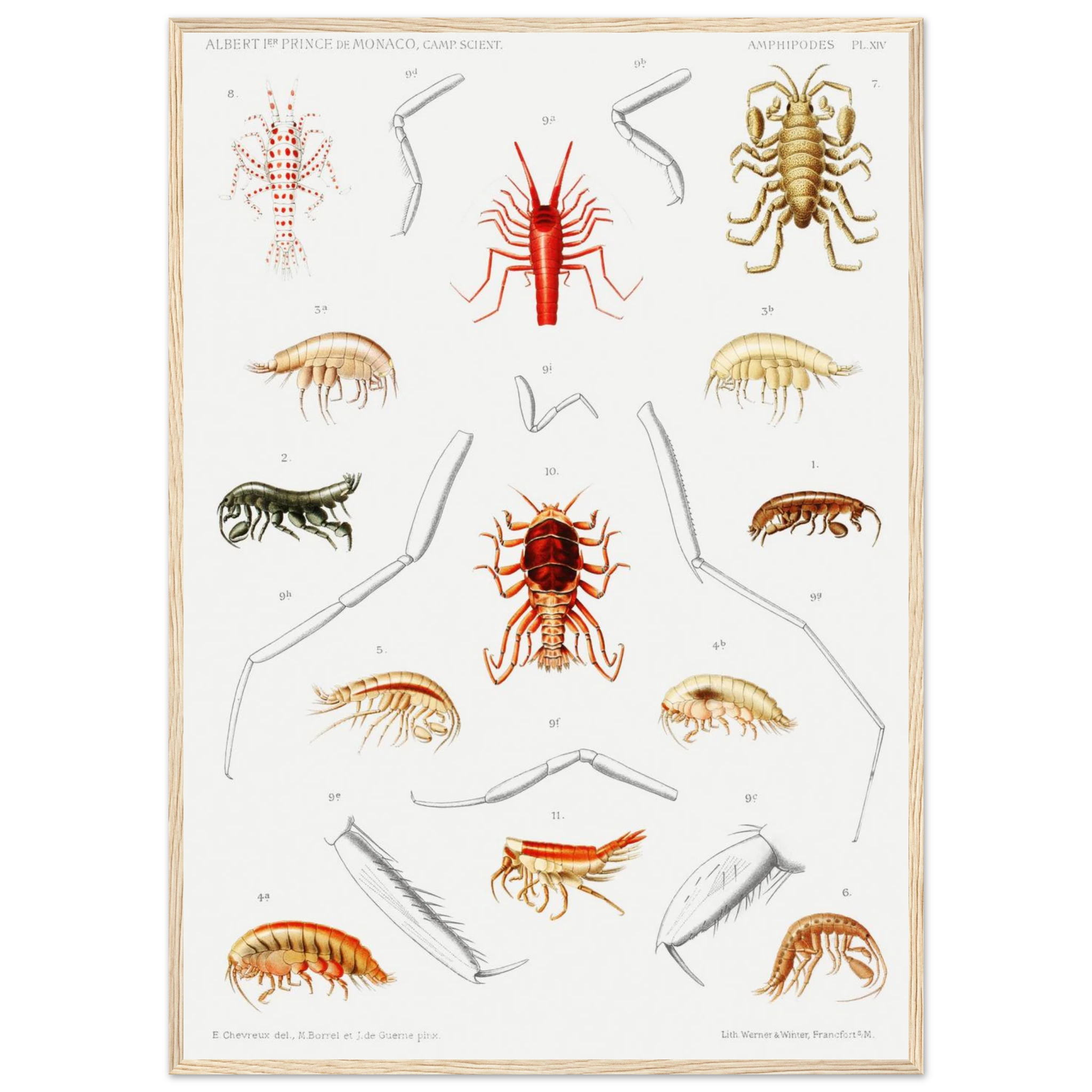 ac9e03e1-1ae0-4c14-9a9b-7ea4eebb7602