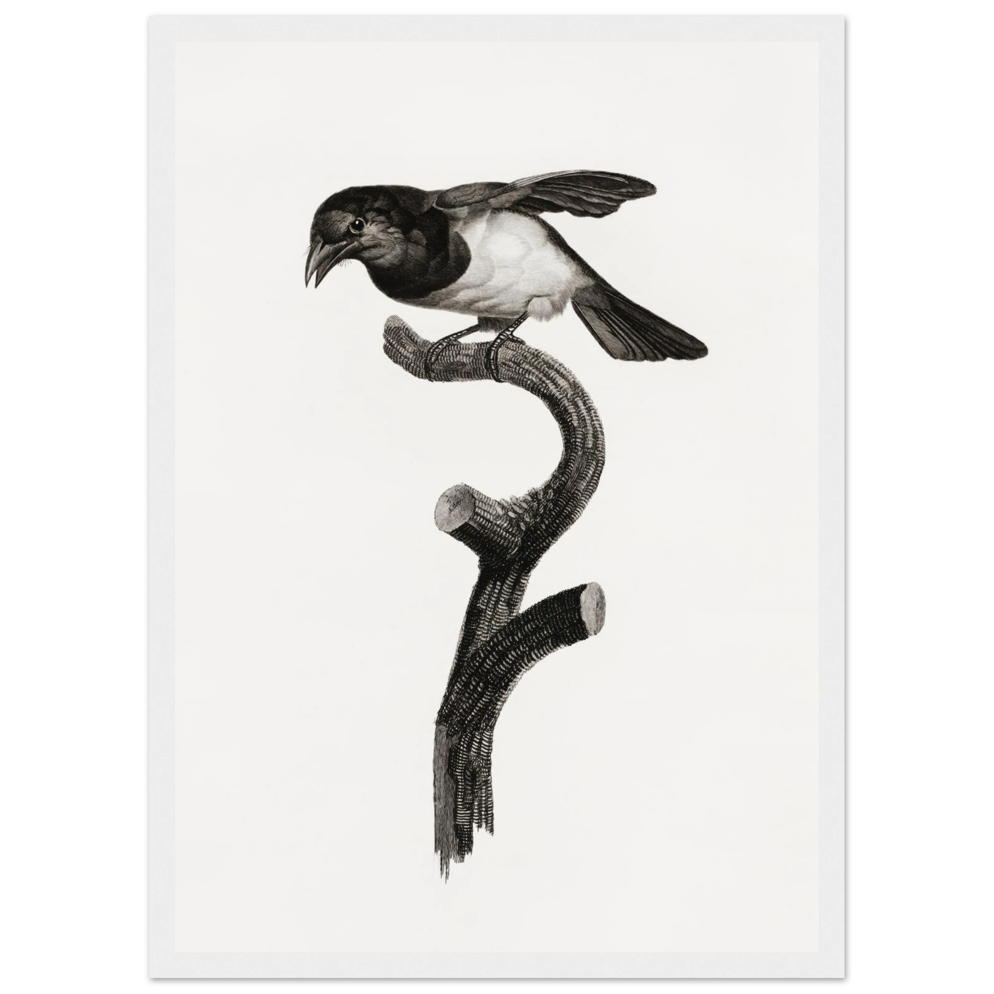 acaa76da-7276-41d7-8f54-03809409cc4e