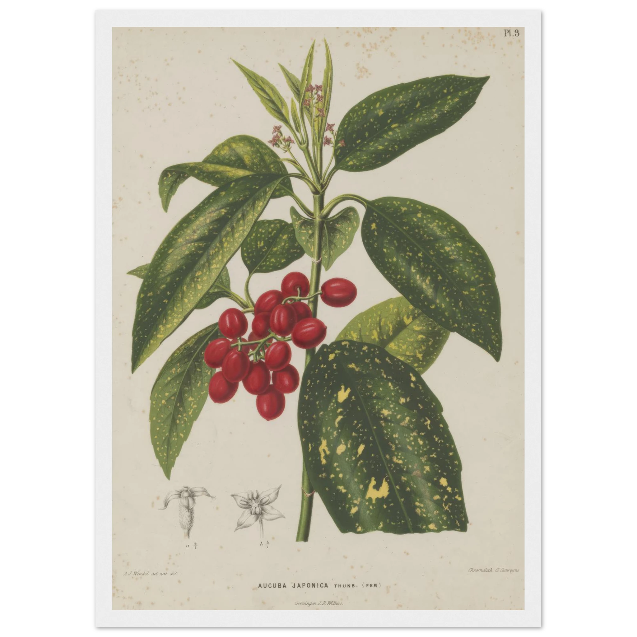 acb7219c-6b87-4acc-8551-b0e47592cfca