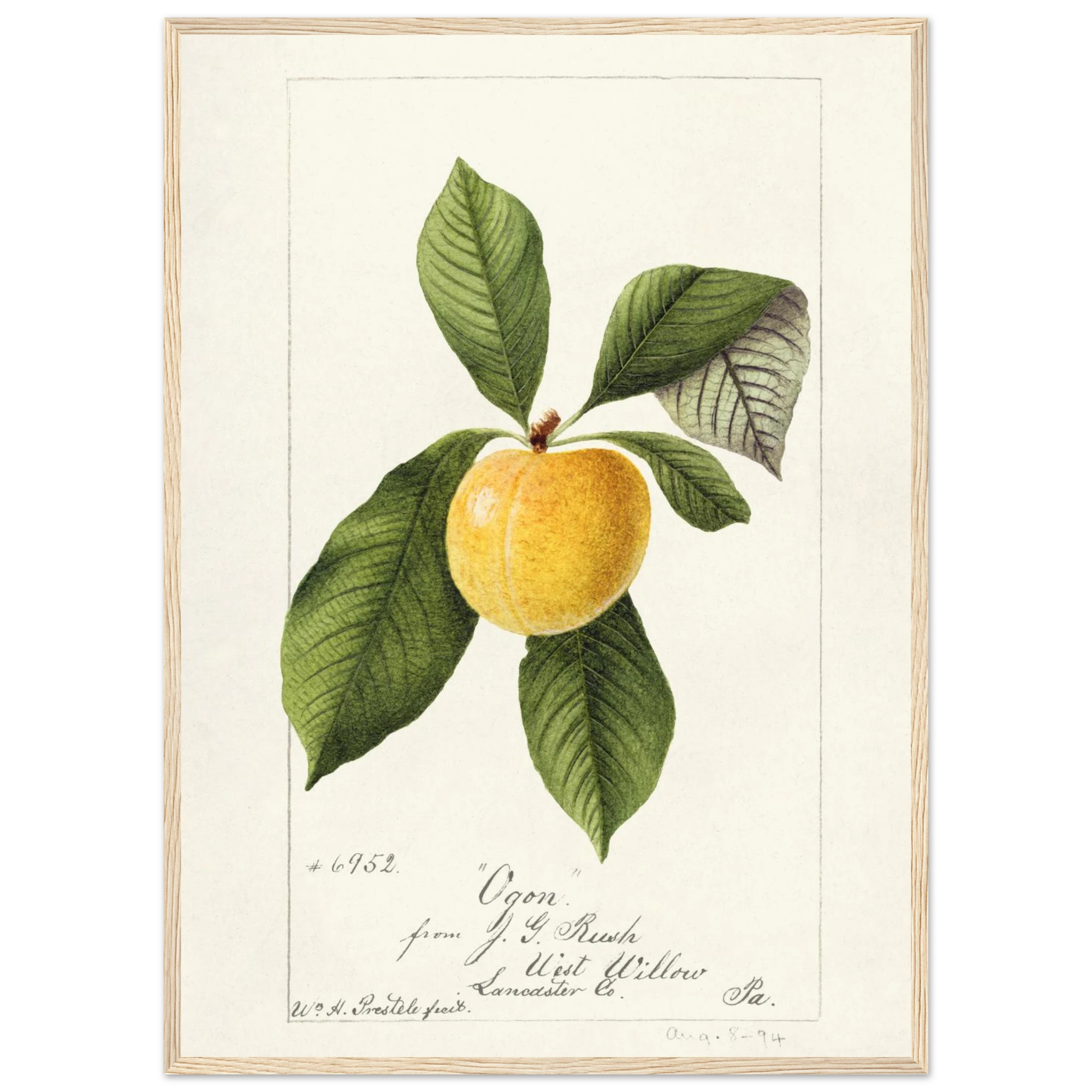 acca3c86-15b8-4c40-a511-a3b90437c162