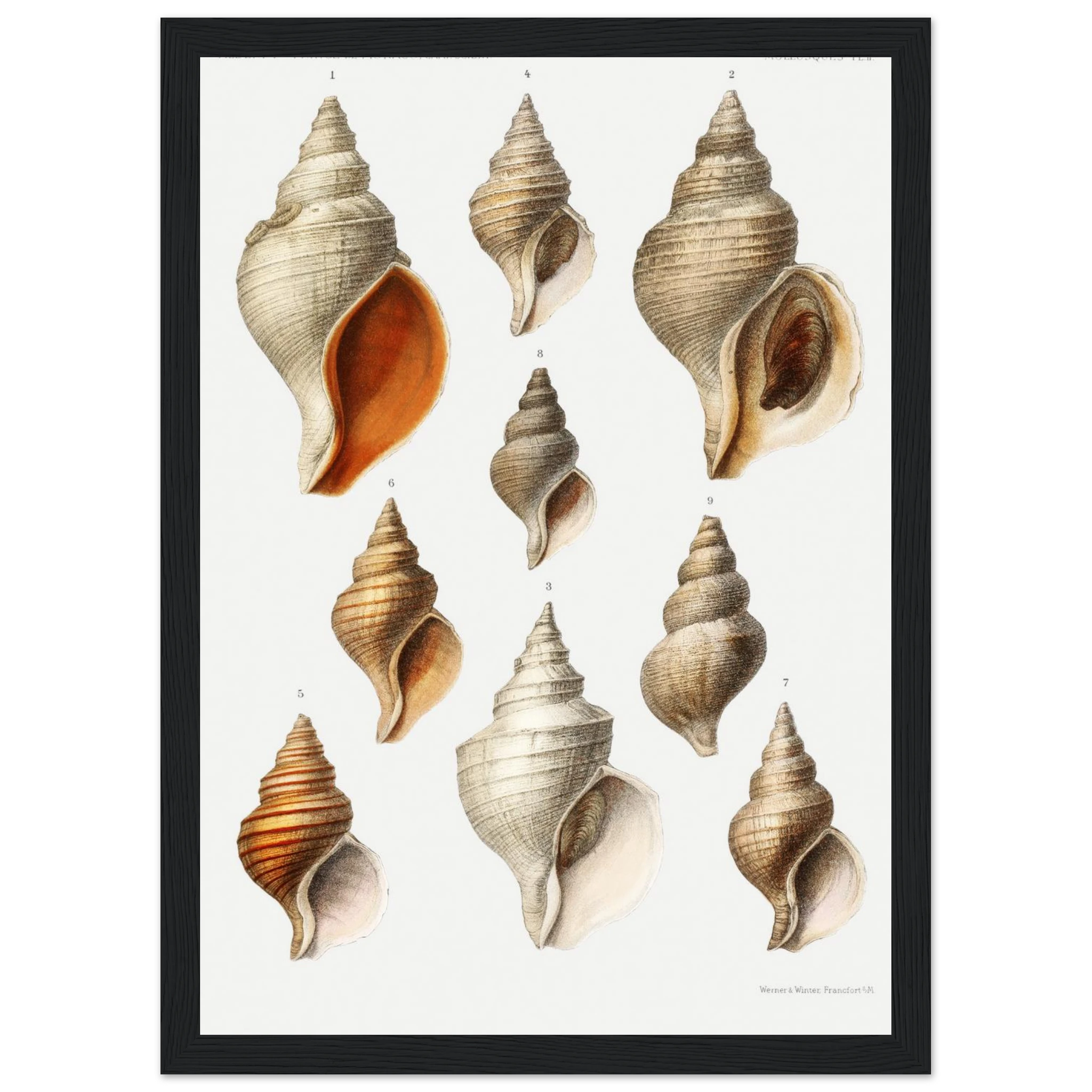 accaf8e7-1ad5-4a01-9407-bd6320d7a609