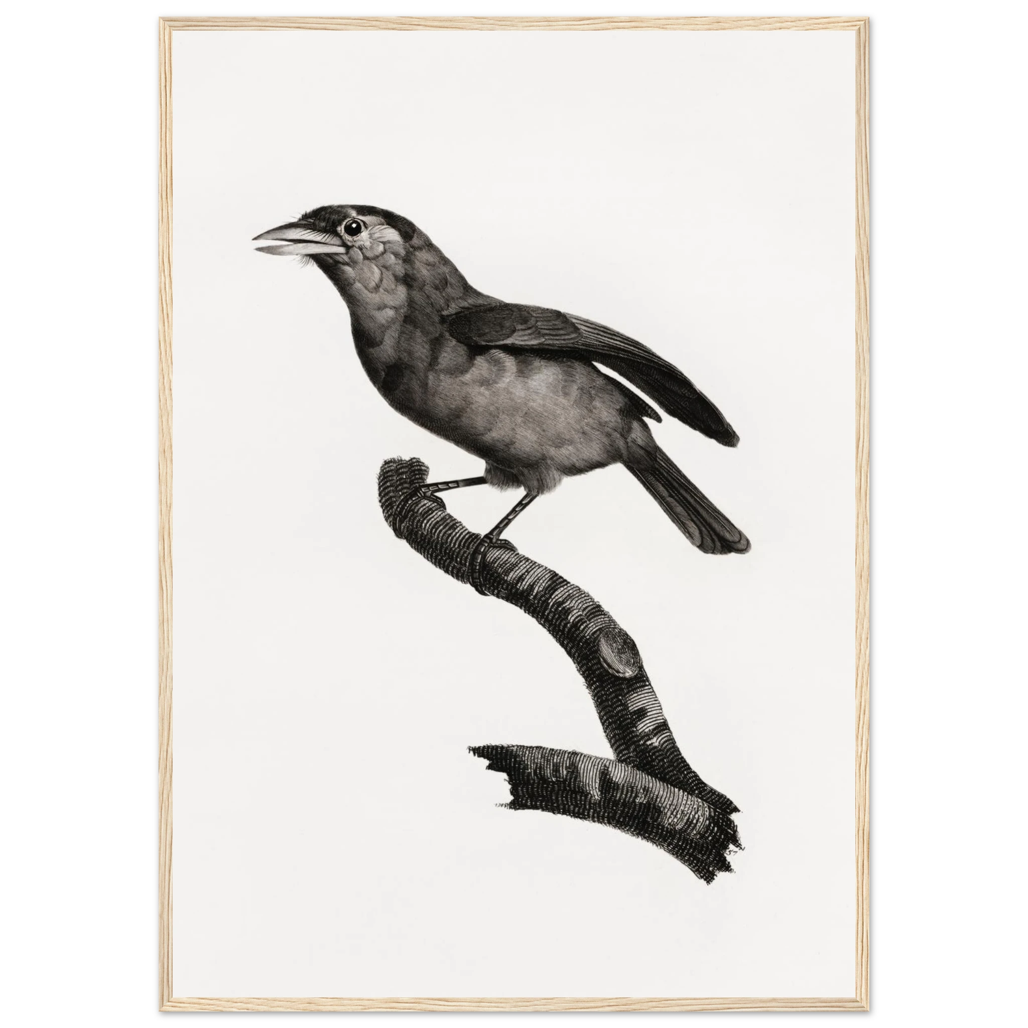 acf34c85-32af-41e9-8bab-8700d093f340