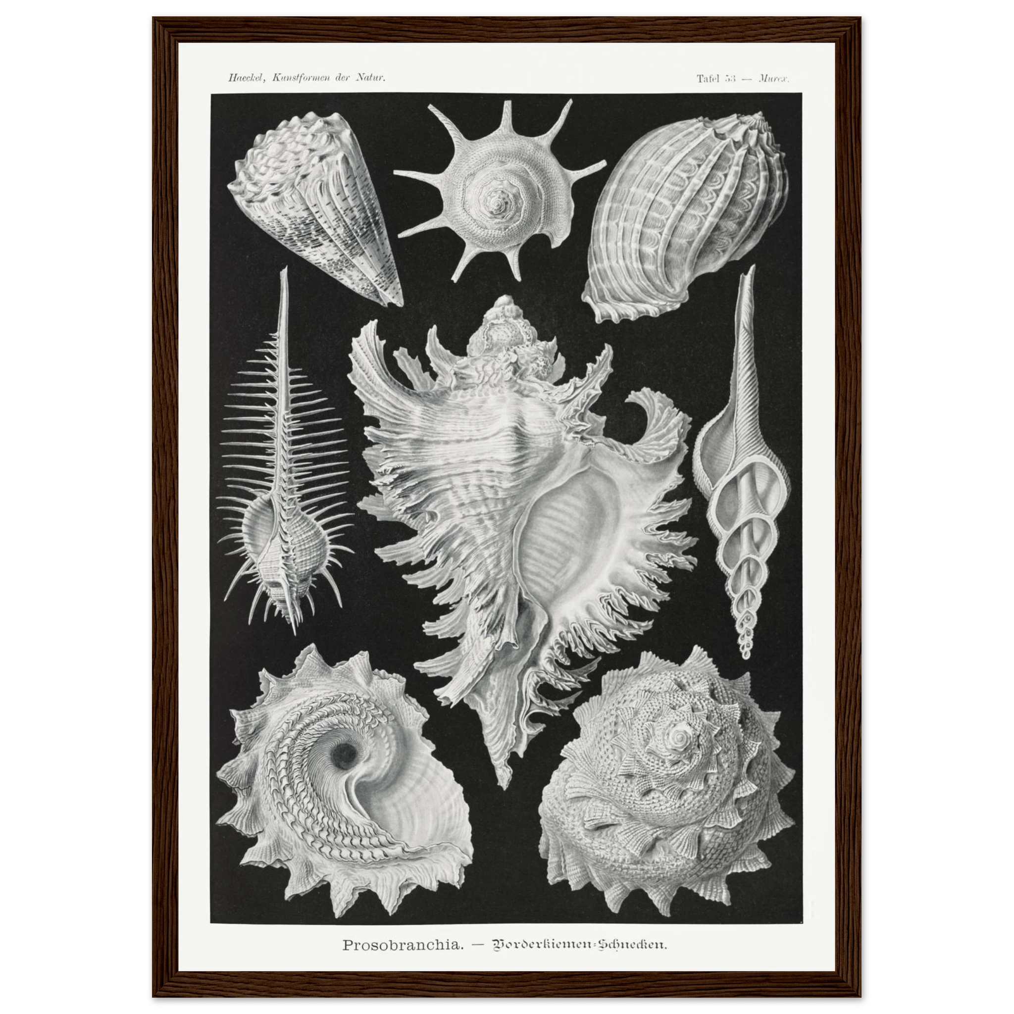 acf8c2f0-68c3-4848-8eef-4dd49c2839df