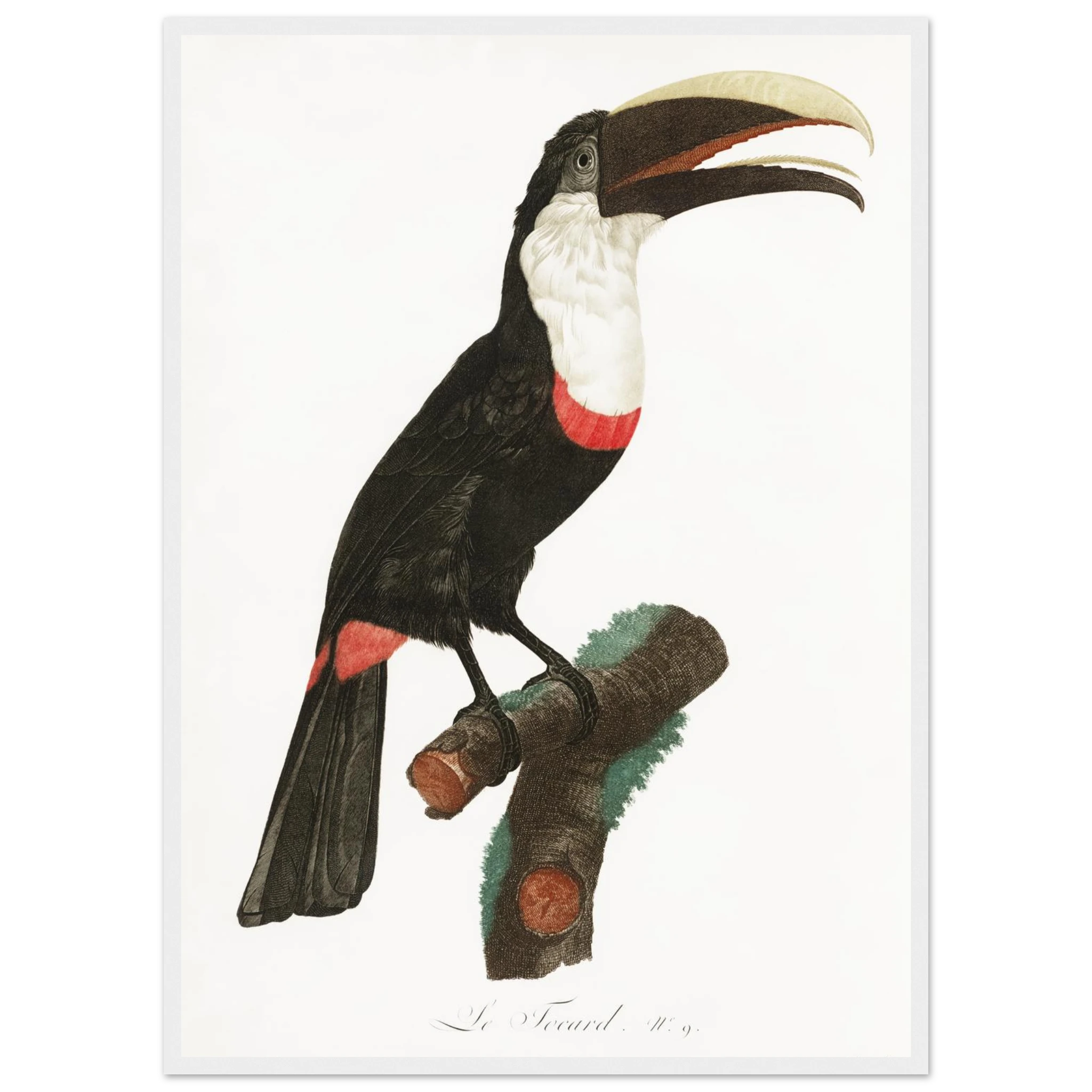 ad05cda3-21a4-45c3-a52e-84b195d9bb0e