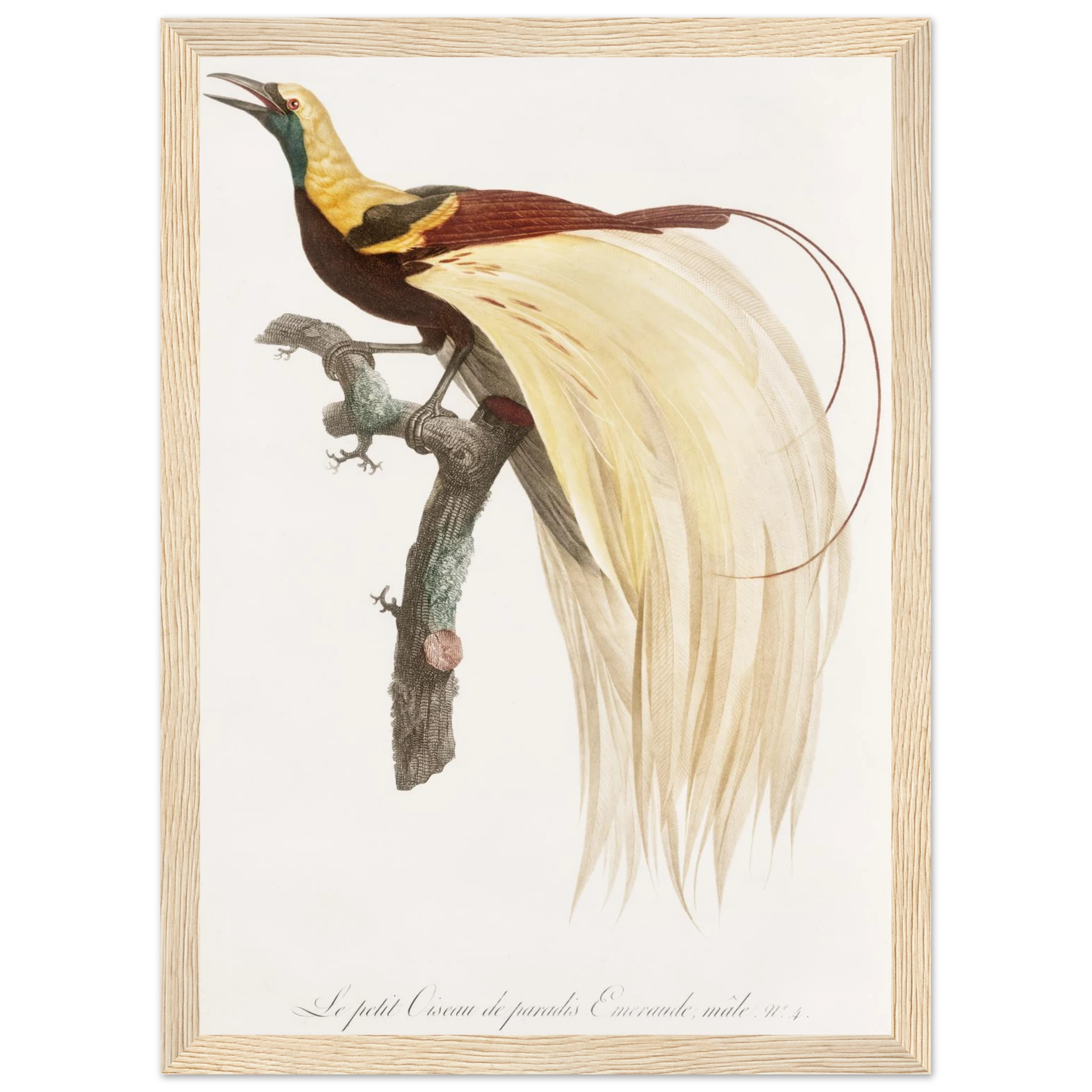 ad1202e2-9778-432e-9094-338cec7071e4