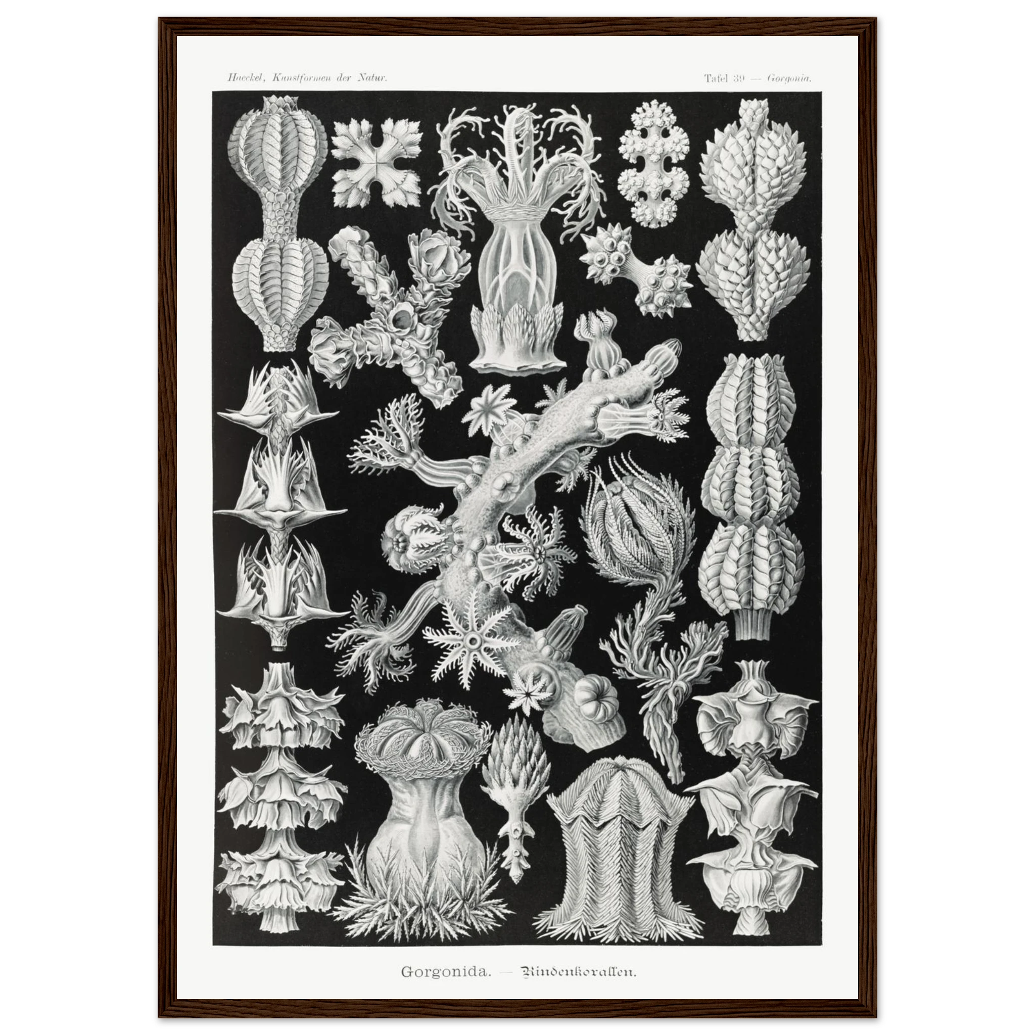 ad8c6997-ae5d-4727-b2f6-e48b1581b688