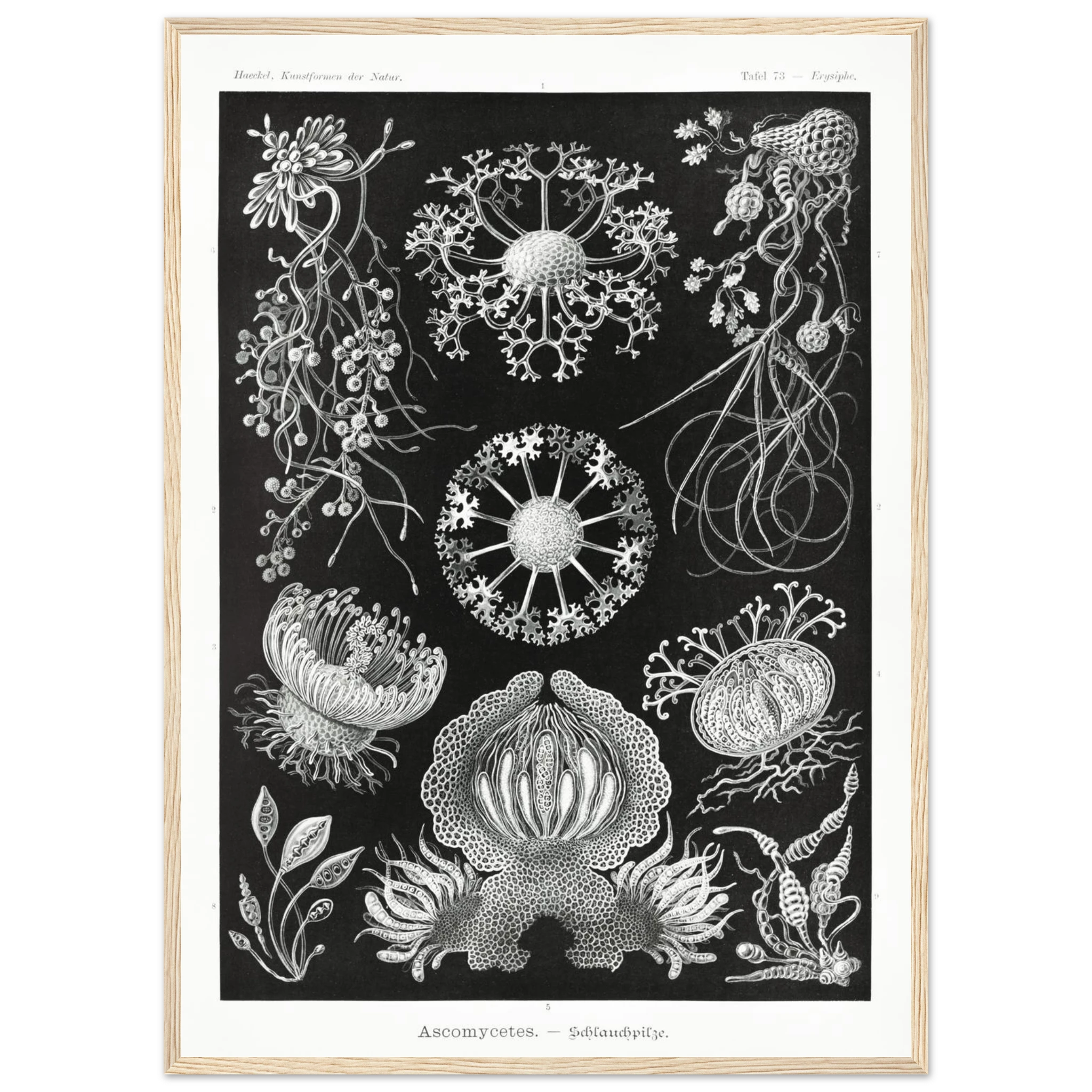 ad931b78-e3ba-44e9-a3d6-d7ac73928702