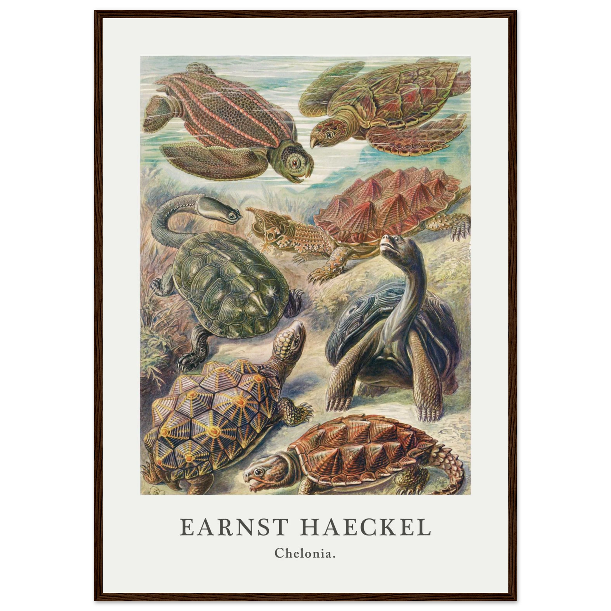 ada50981-cc3c-4398-b264-a5cfa7a4547c