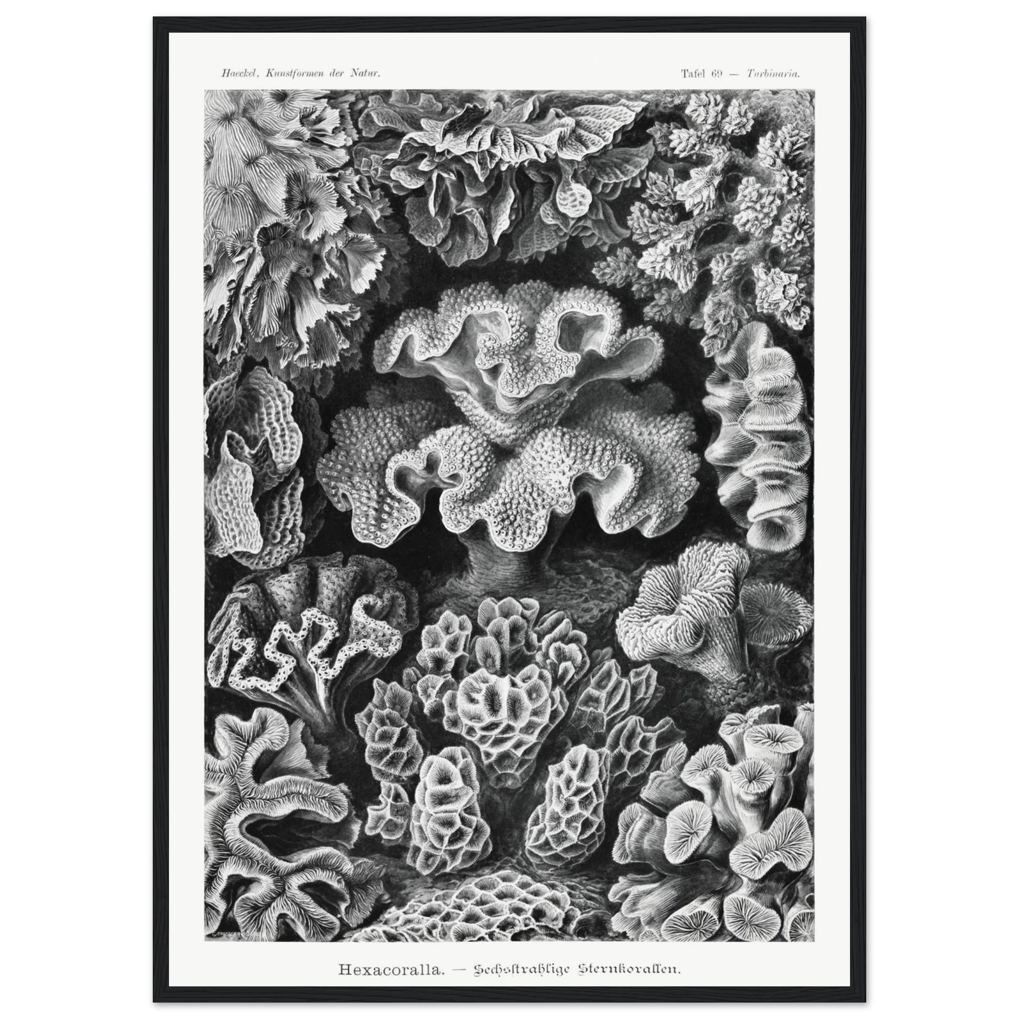 adb35a78-360f-4b30-bc54-87856c815fb2