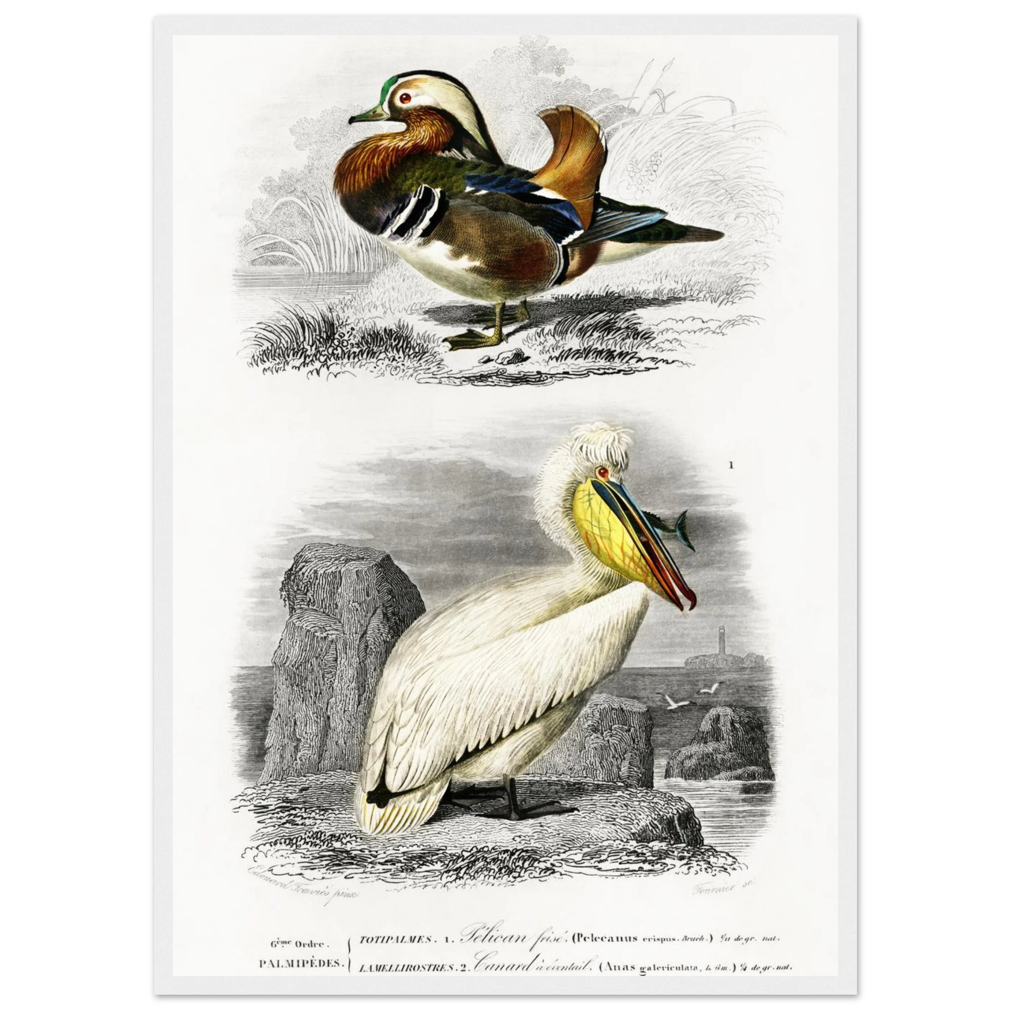 adb6bee6-58be-4b1c-a267-453f035e17f8