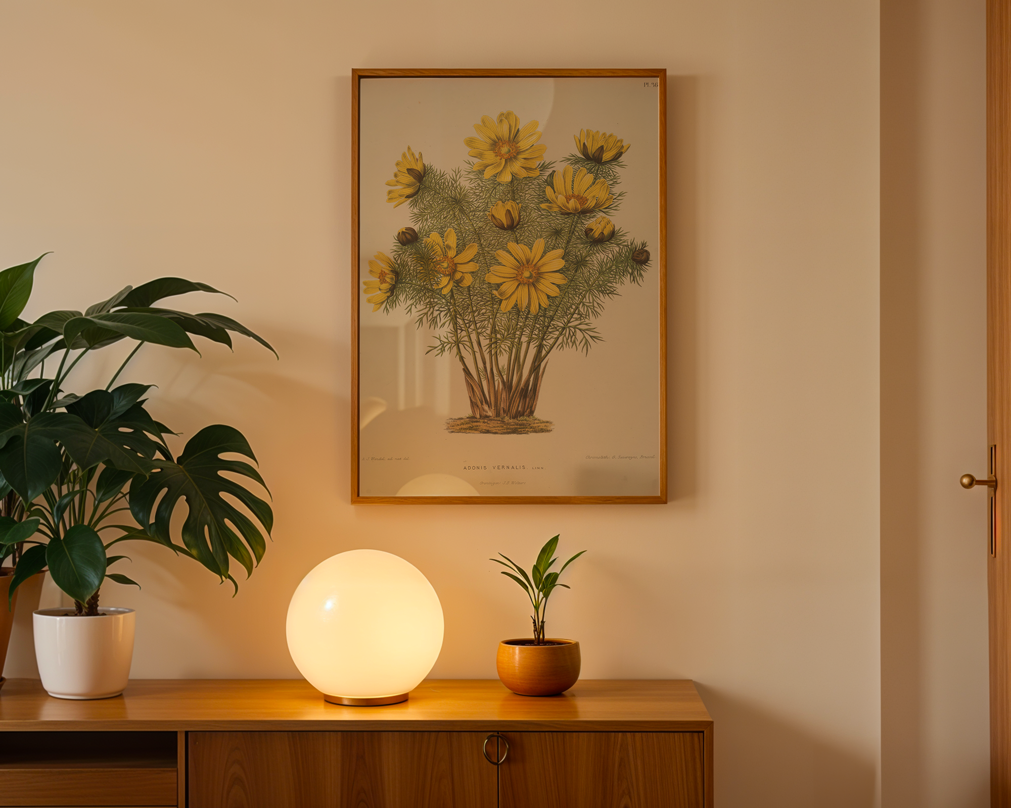 adonis-vernalis-l-a-j-wendel mockup