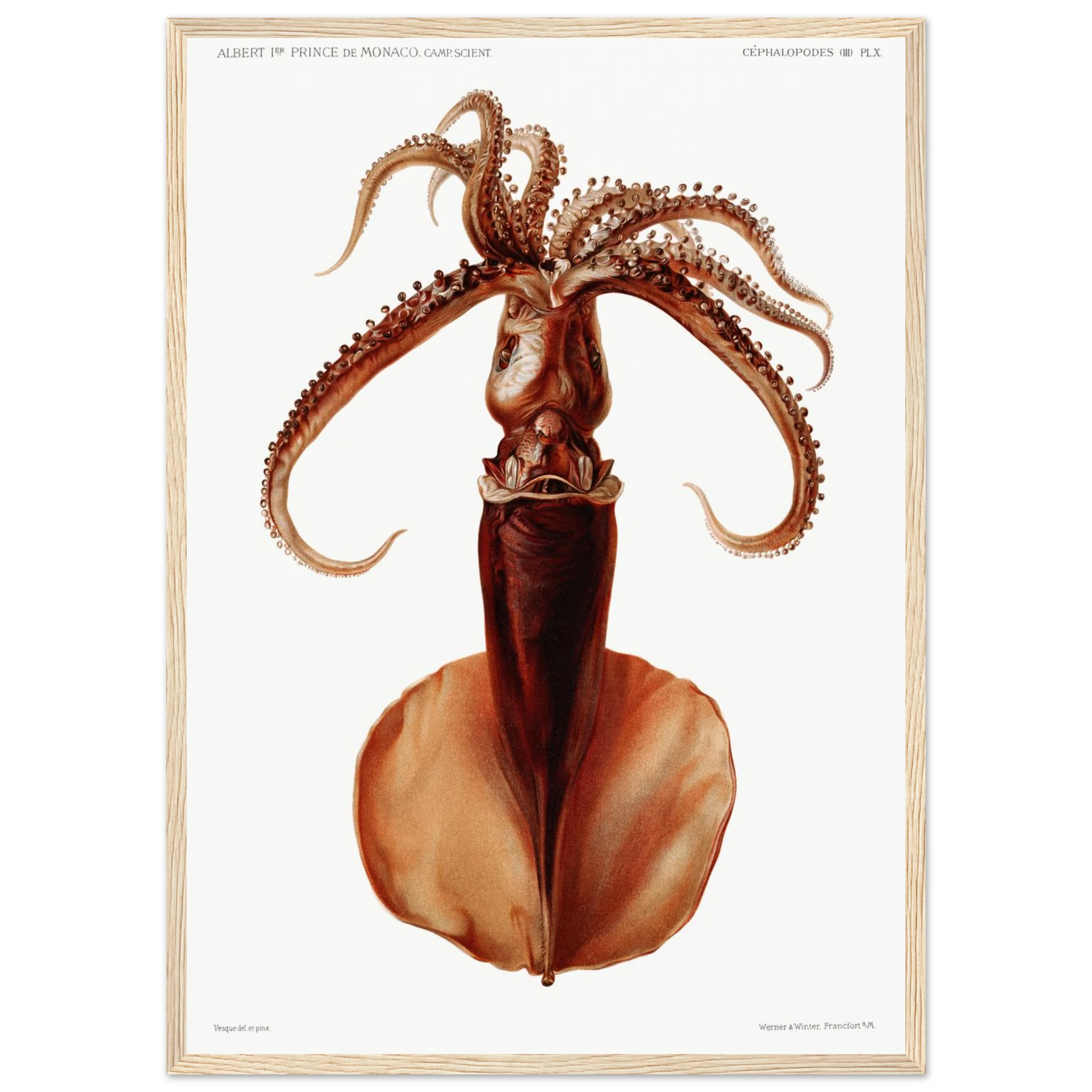 ae37b378-9bb0-41bf-80d0-cd4dc43c6aa7