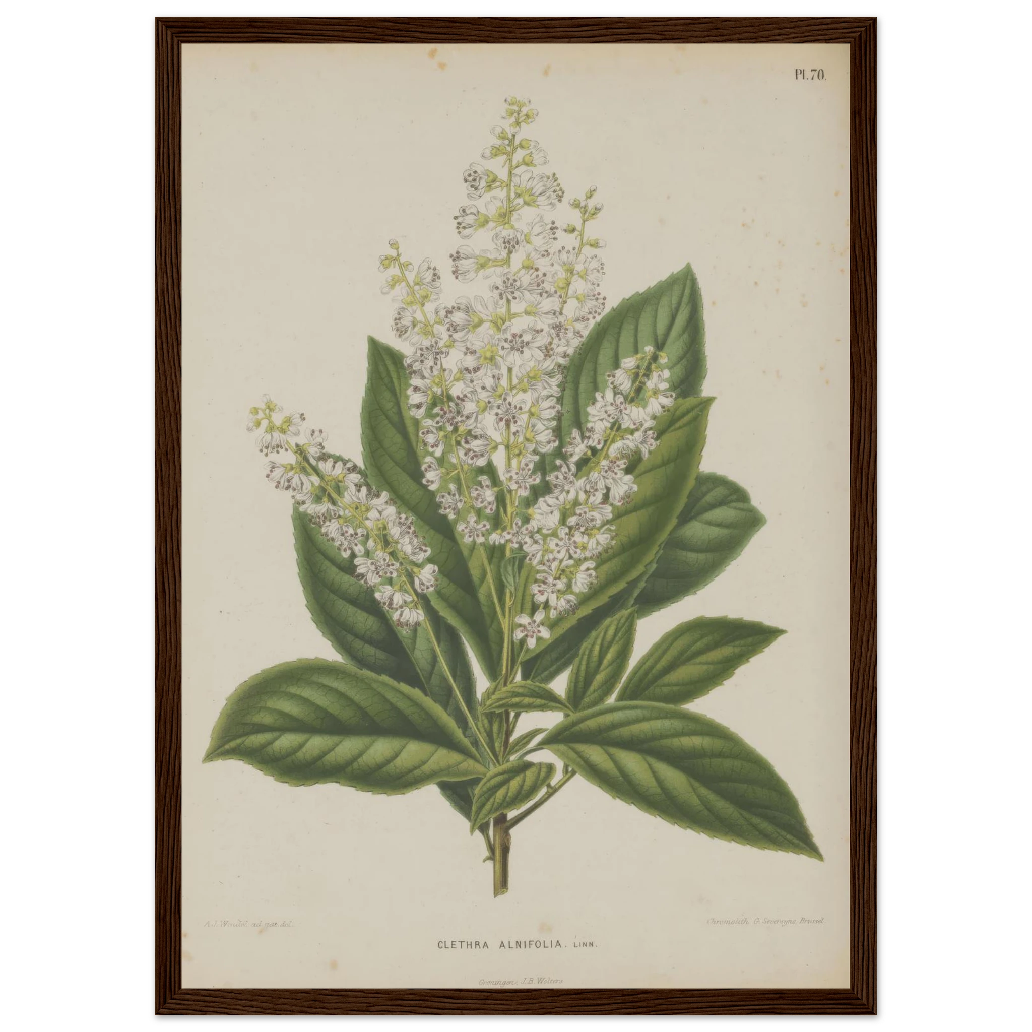 ae6728fe-3ced-4505-827b-b54c1e8ad500